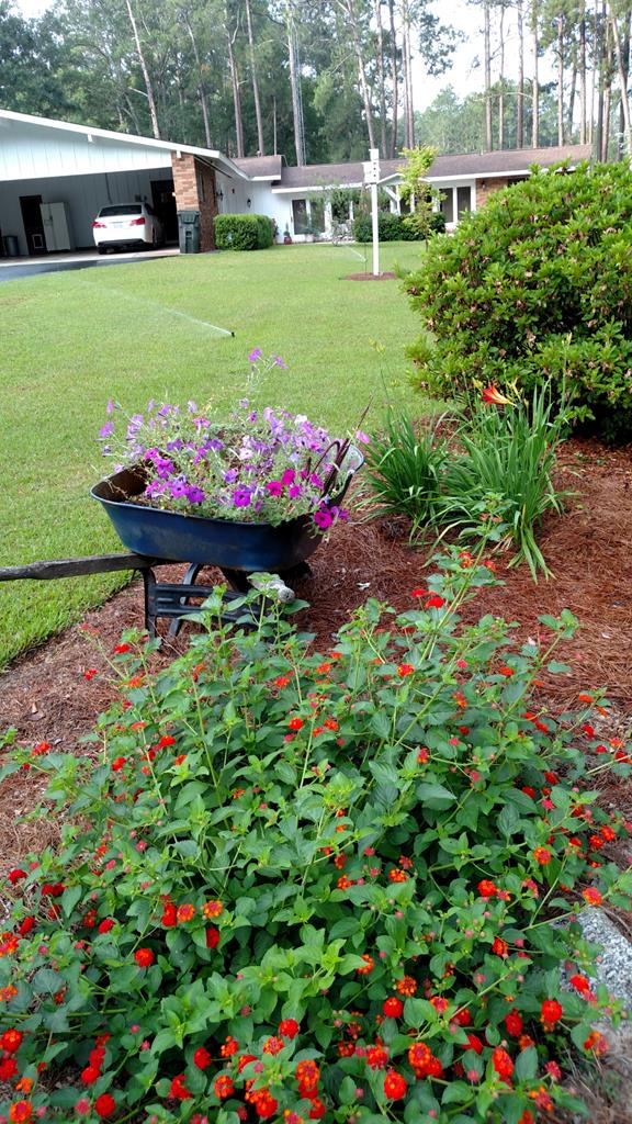 Chula, Georgia, 31733, United States, 4 Bedrooms Bedrooms, ,4 BathroomsBathrooms,Residential,For Sale,1979714