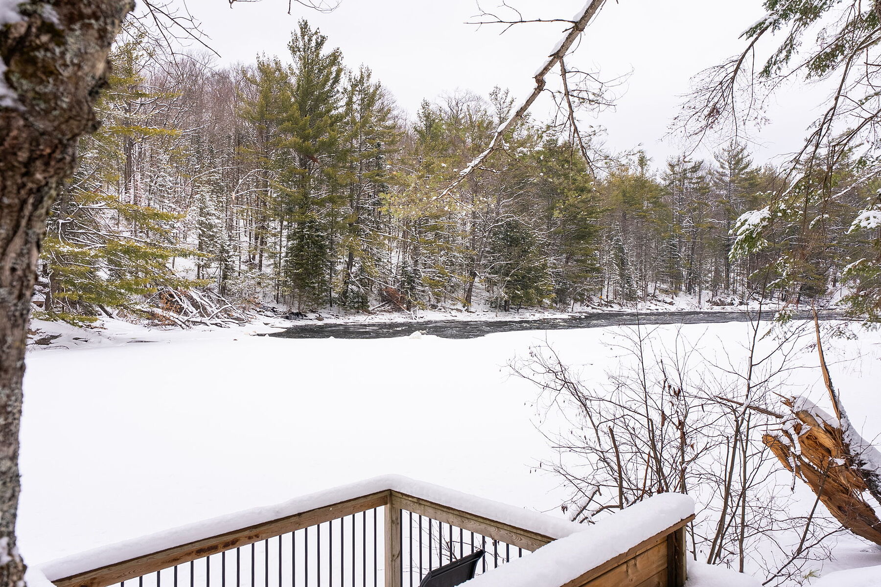  Serene Irondale River Cottage - 物件實景