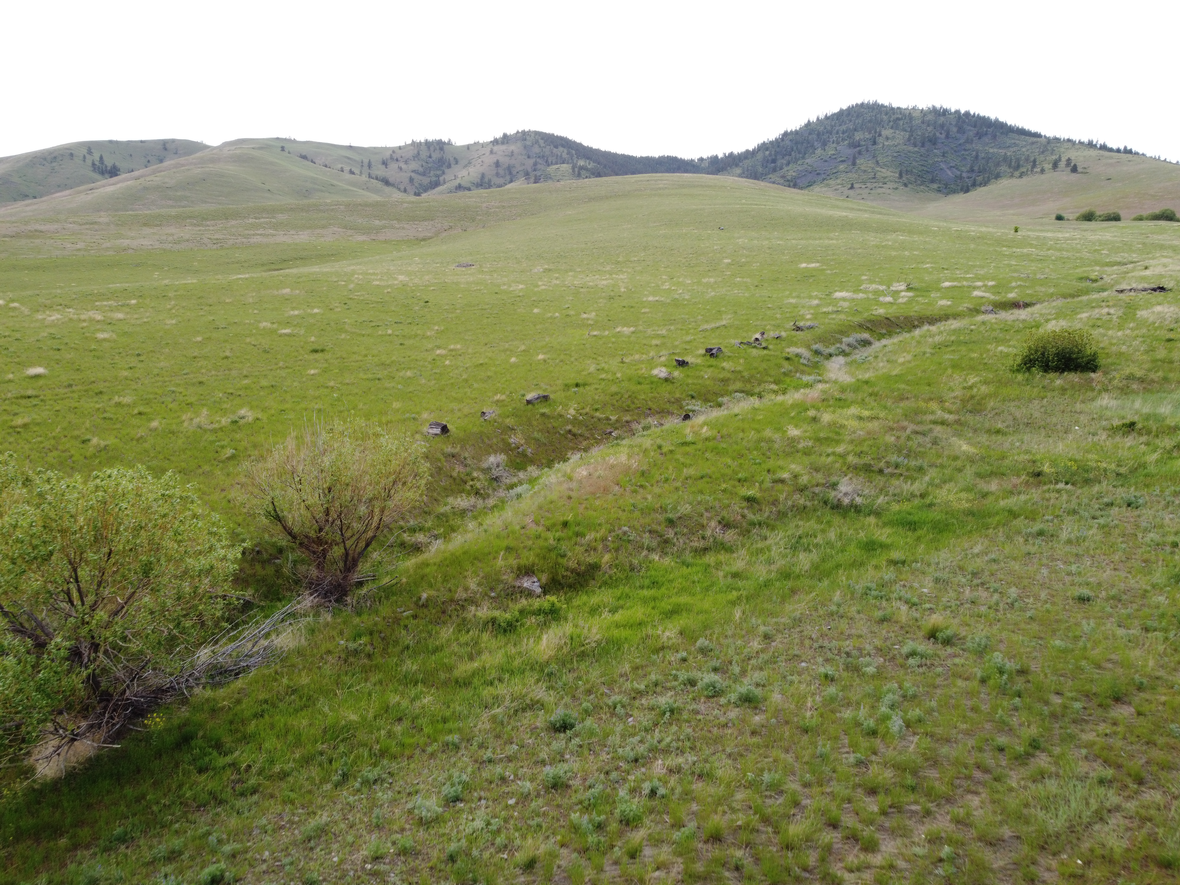 Hot Springs, Montana, 59845, United States, ,Residential,For Sale,1836275
