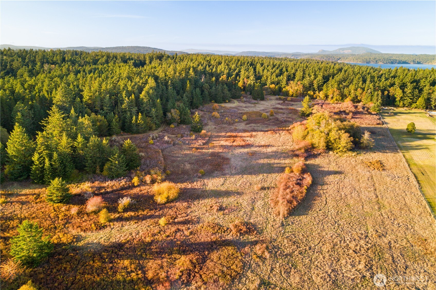 Friday Harbor, Washington, 98250, United States, ,Land,For Sale,1991931