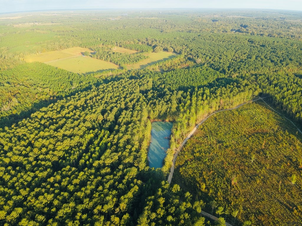 Abbeville, Georgia, 31001, United States, ,Land,For Sale,1975130