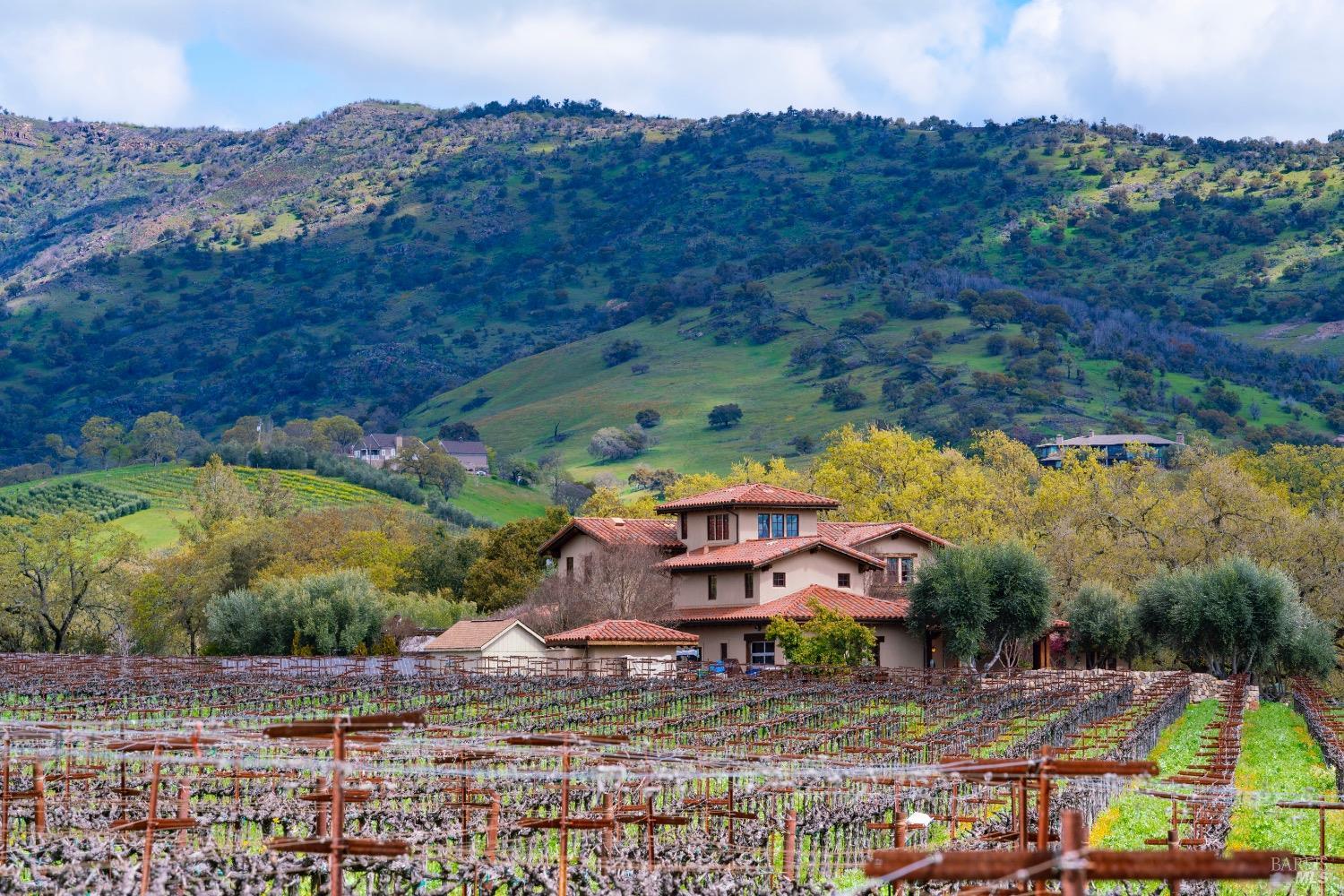 Napa, California, 94558, United States, 8 Bedrooms Bedrooms, ,9 BathroomsBathrooms,Residential,For Sale,1729911