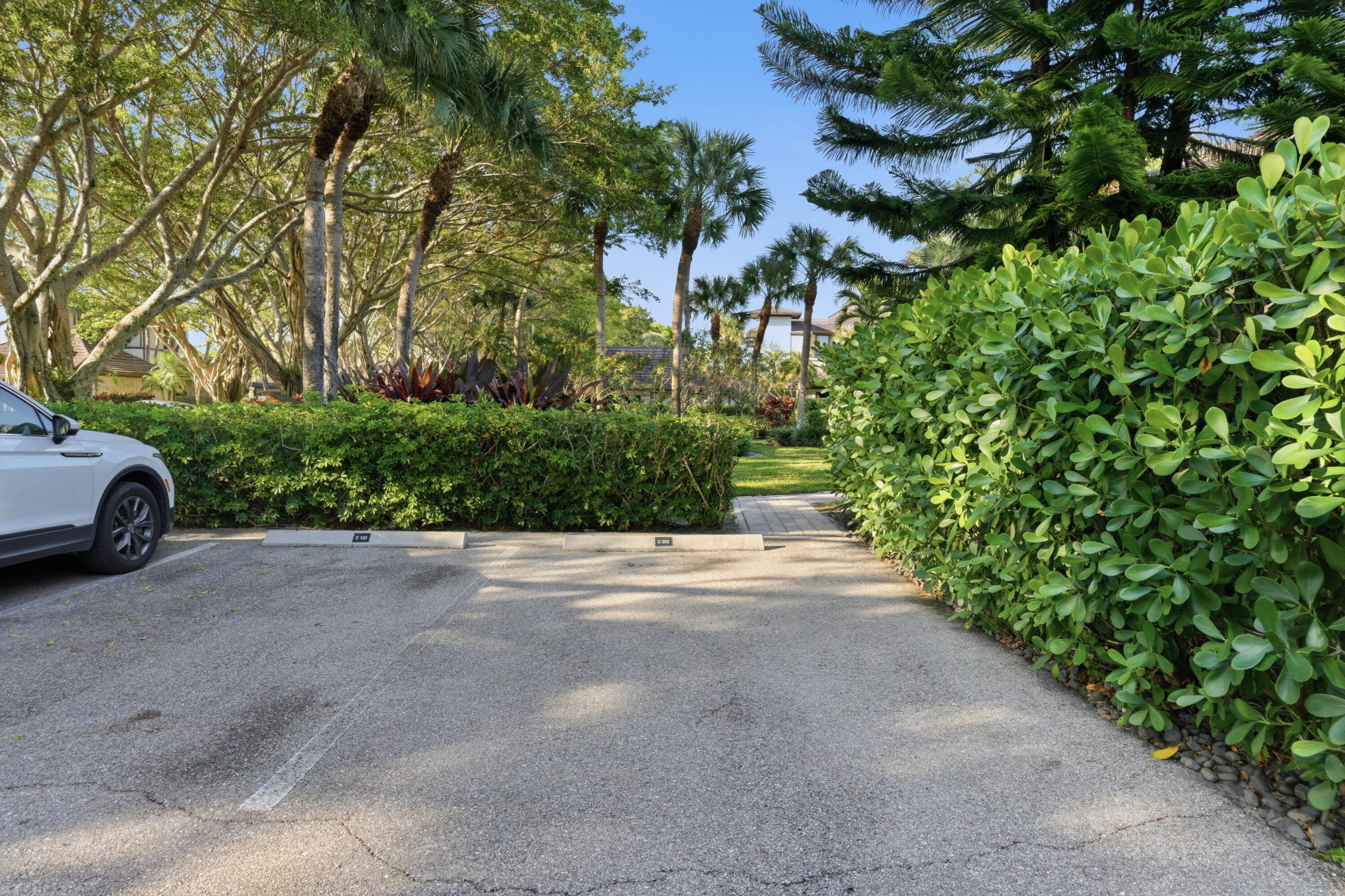  2810 Polo Island Drive C202 - 物件實景