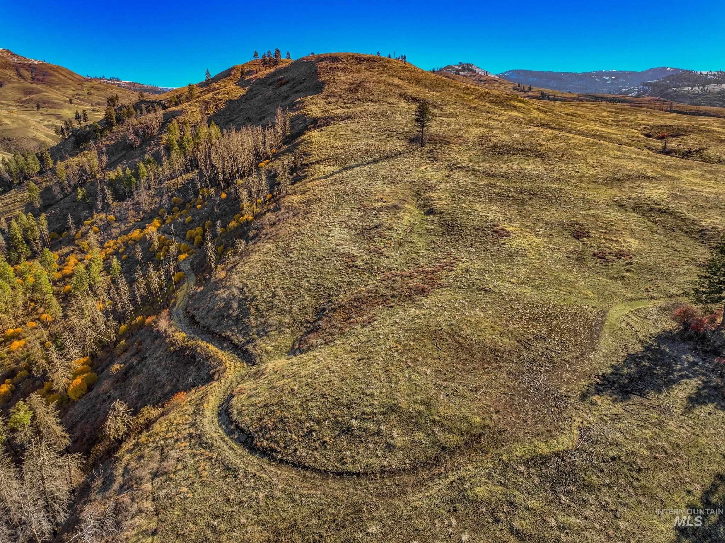 Council, Idaho, 83612, United States, ,Land,For Sale,1981211