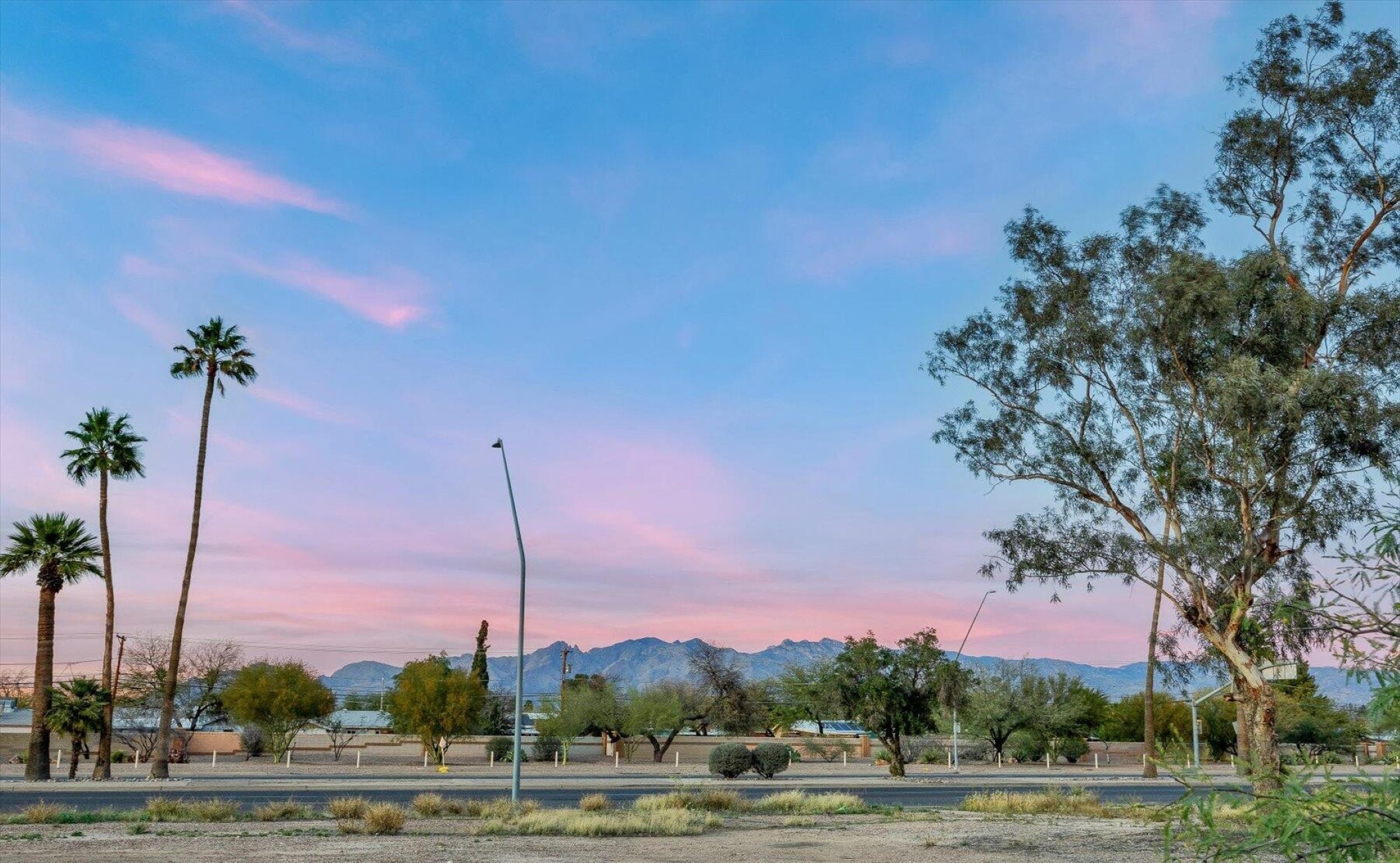  2313 E 23rd Street, Tucson, AZ 85713 - 物件實景