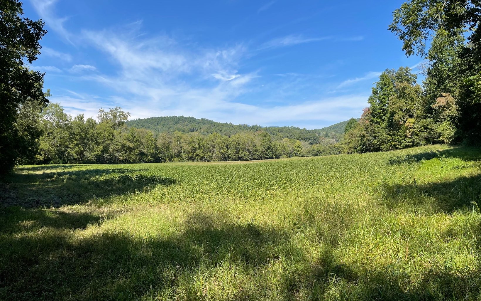 Hayesville, North Carolina, 28904, United States, ,Residential,For Sale,1943293