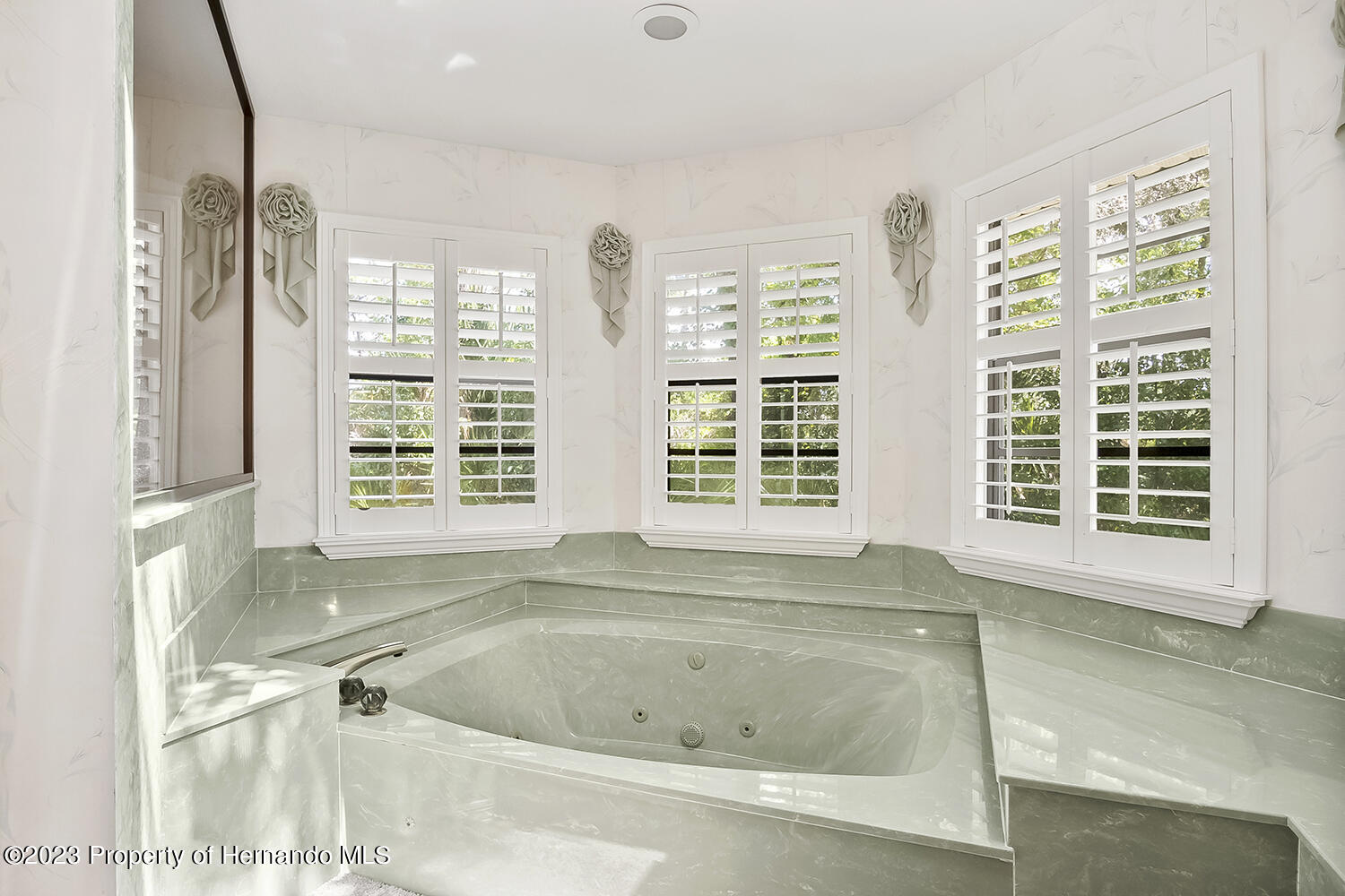 Weeki Wachee, Florida, 34607, United States, 4 Bedrooms Bedrooms, ,5 BathroomsBathrooms,Residential,For Sale,1944621
