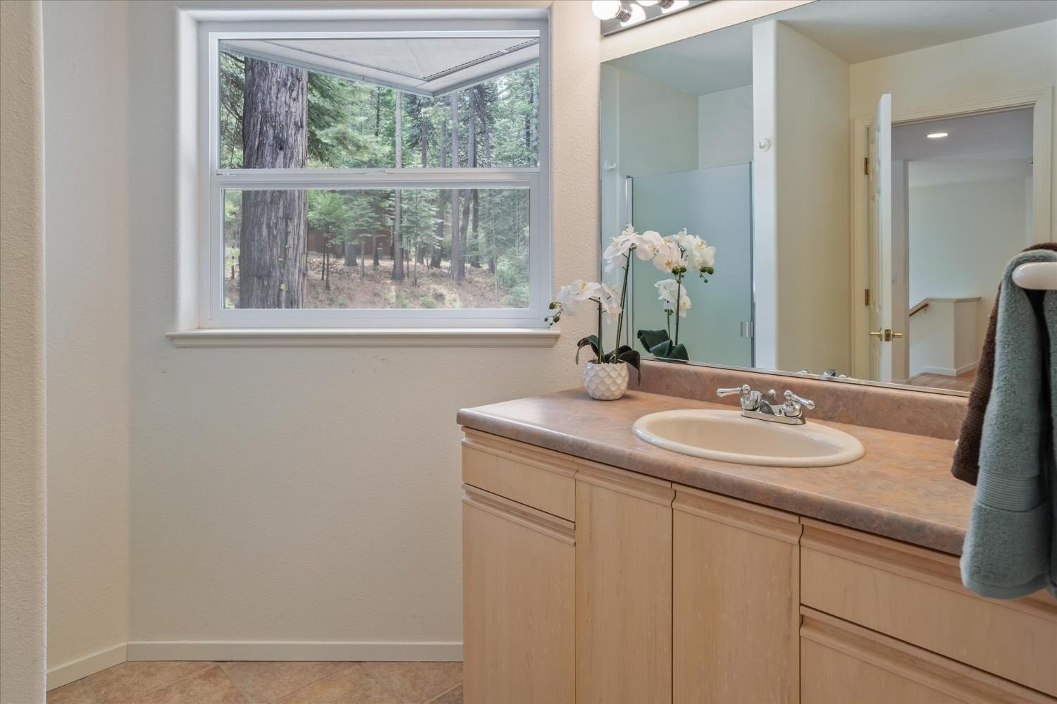 Arnold, California, 95223, United States, 3 Bedrooms Bedrooms, ,4 BathroomsBathrooms,Residential,For Sale,1924050