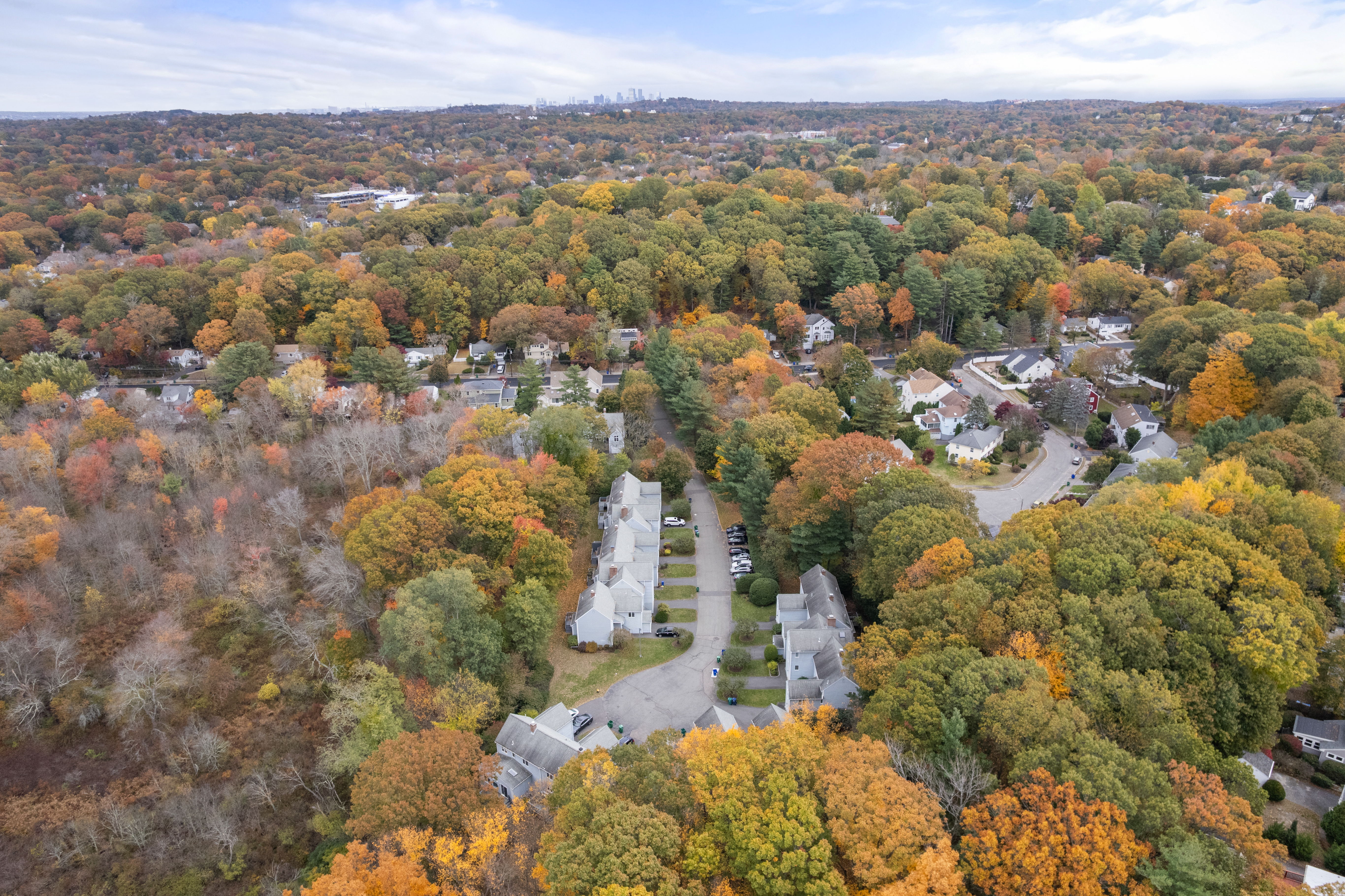  305 Winchester Street, Unit D, Newton, MA, 02461 - 物件實景