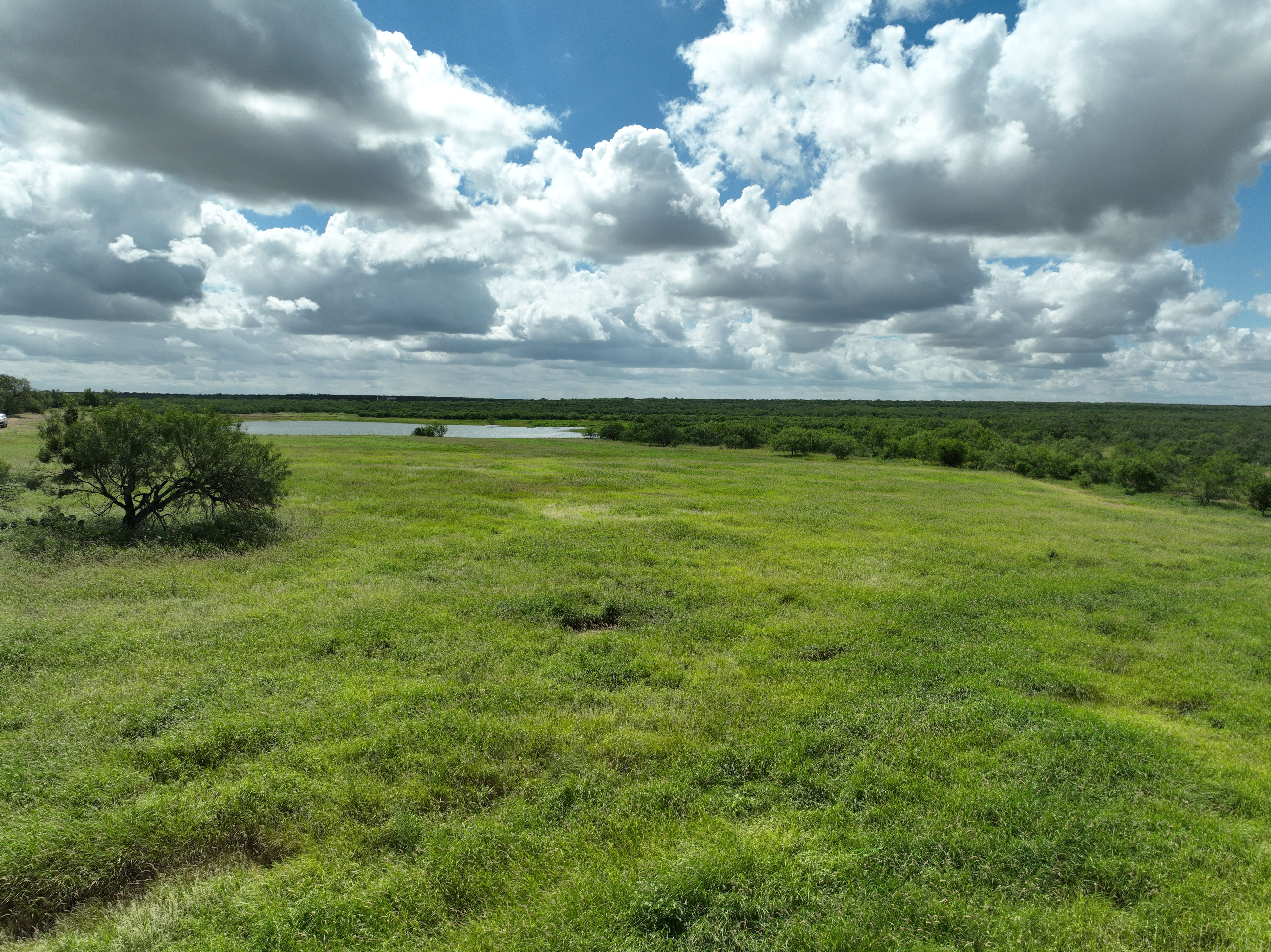  Moro Creek Ranch in Dimmit County - 物件實景