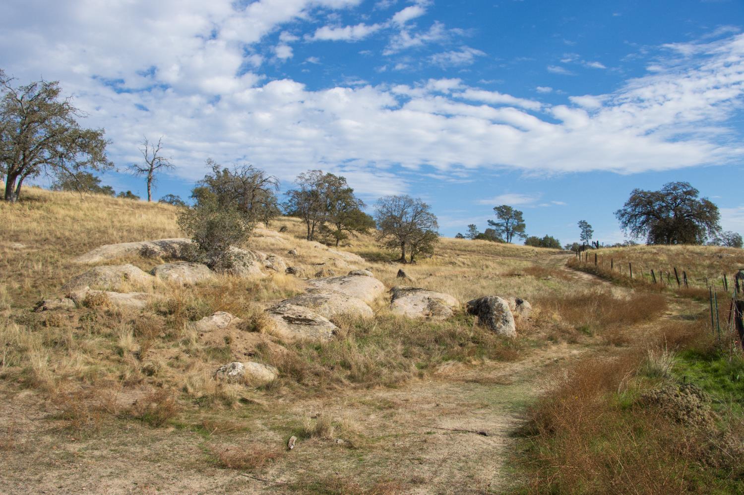 Coarsegold, California, 93614, United States, ,Residential,For Sale,2006211