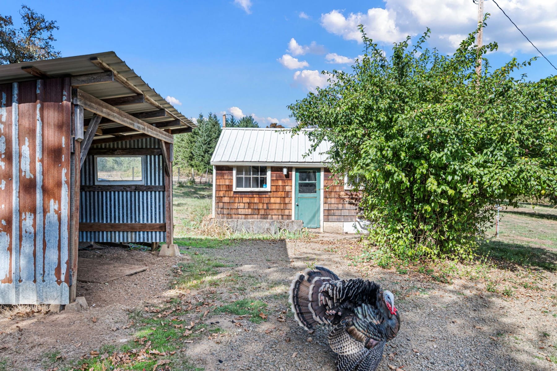  24027 HAWLEY CREEK RD Monroe, OR 97456 - 物件實景