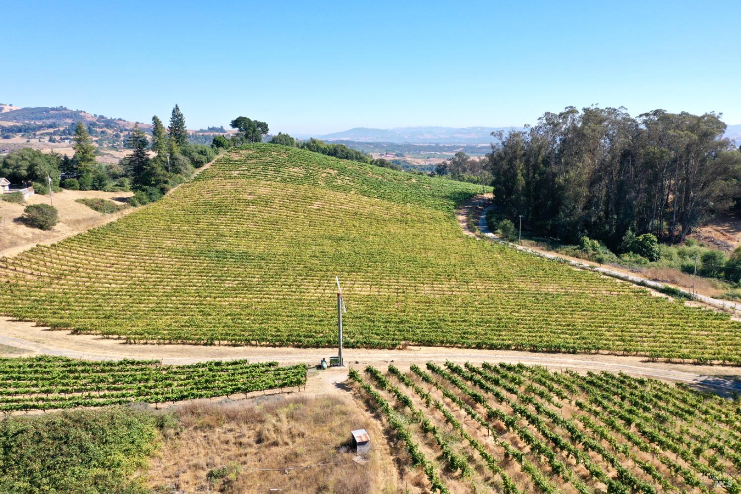 Santa Rosa, California, 95404, United States, 5 Bedrooms Bedrooms, ,4 BathroomsBathrooms,Residential,For Sale,1986461