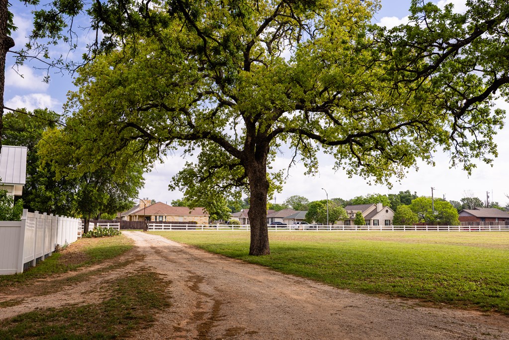 Fredericksburg, Texas, 78624, United States, 3 Bedrooms Bedrooms, ,2 BathroomsBathrooms,Residential,For Sale,1977273