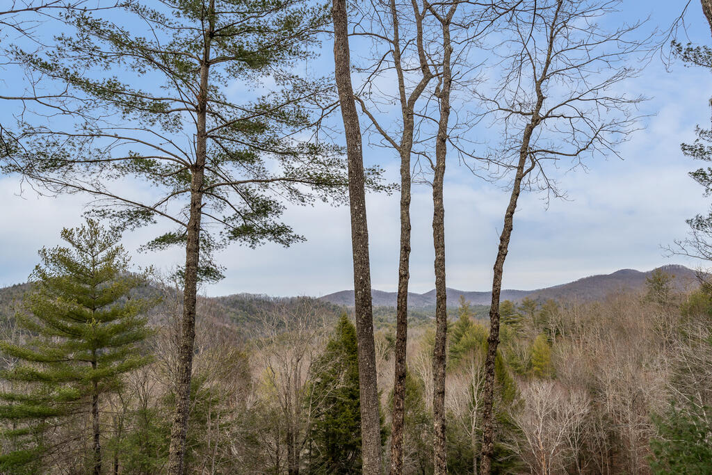 Toccoa Overlook Ln, Blue Ridge, GA 30513 #1