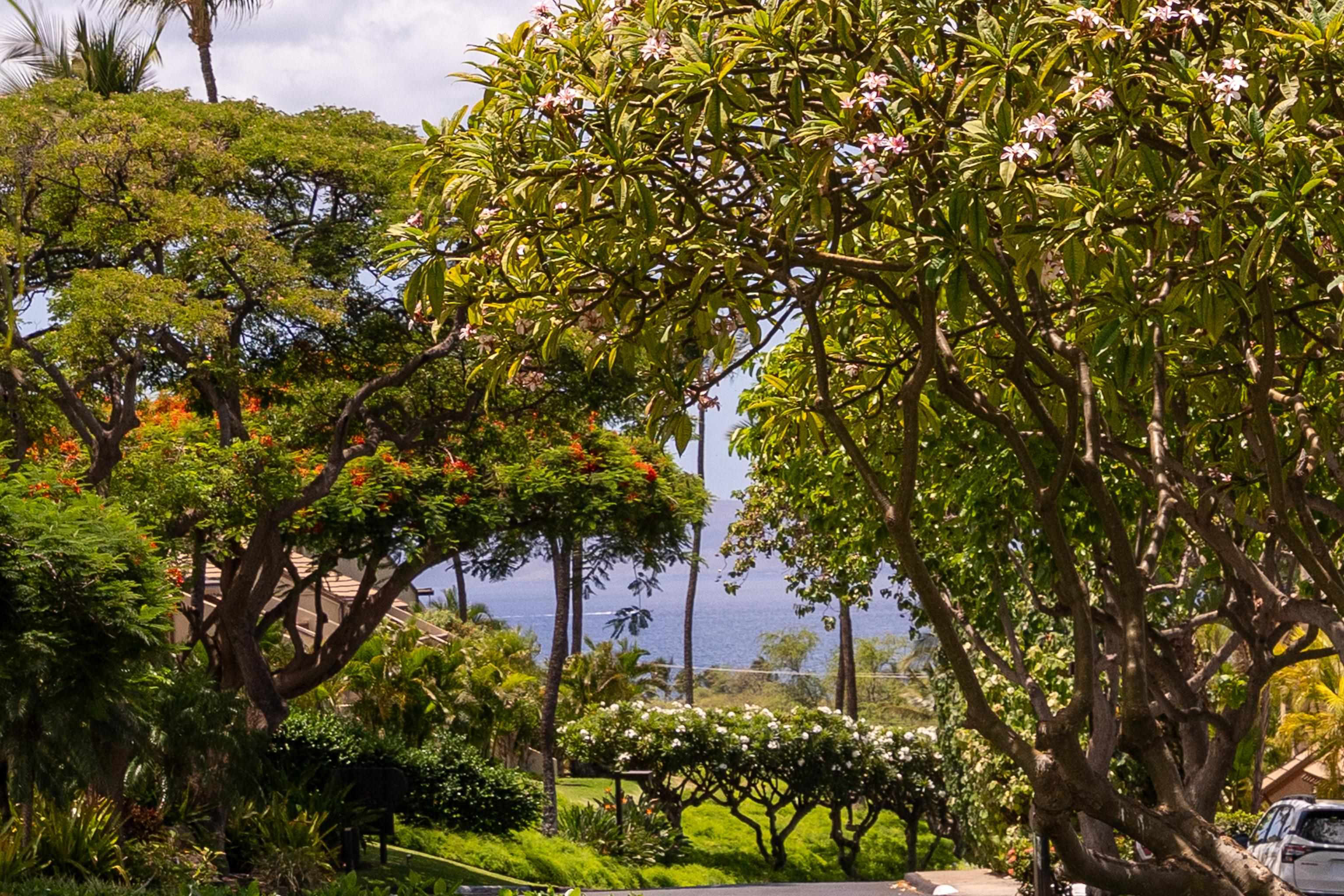 Kihei, Hawaii, 96753, United States, 1 Bedroom Bedrooms, ,2 BathroomsBathrooms,Residential,For Sale,2001614