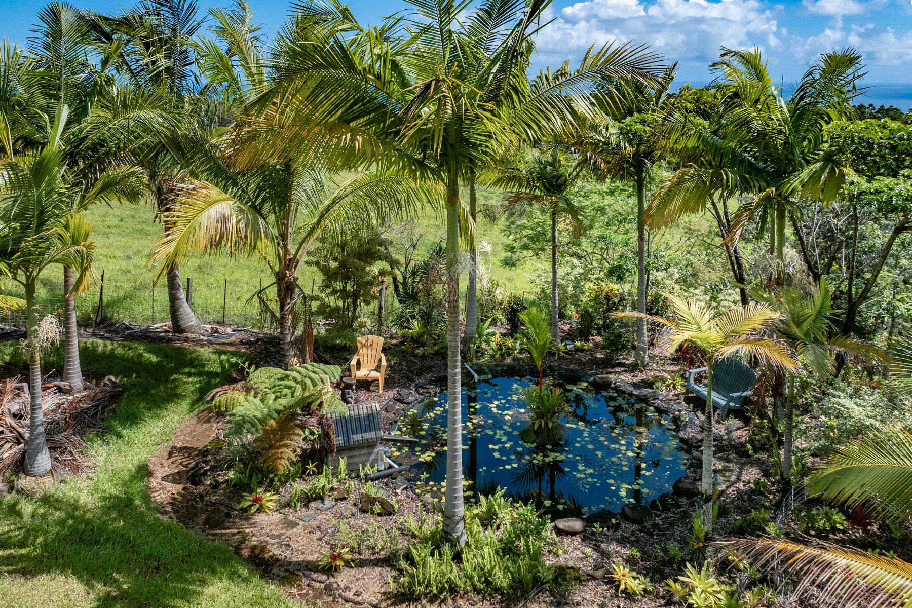  35-1655 Maulua Nui Rd, Papaaloa, HI, 96780 - 物件實景