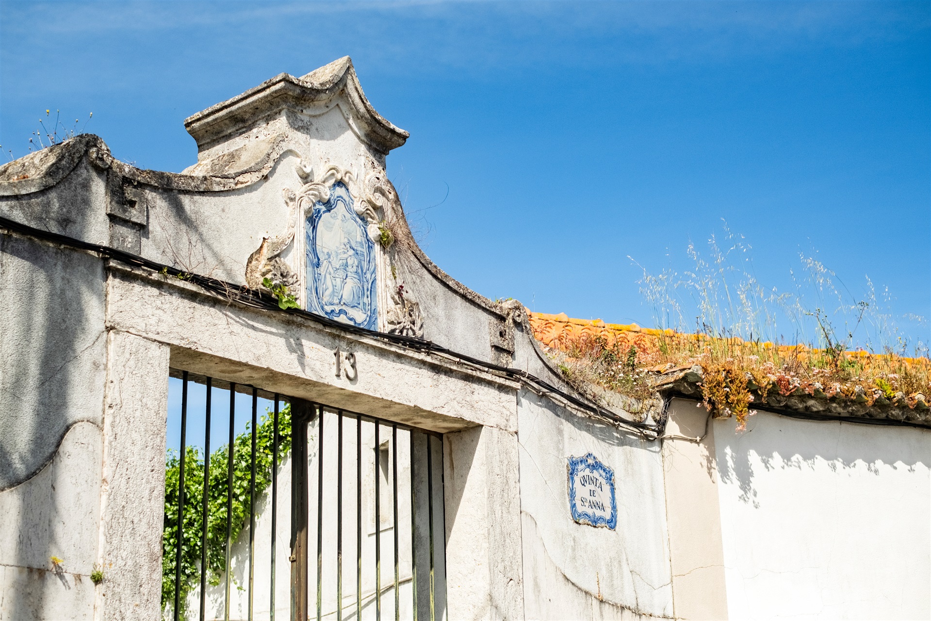  Farm for Sale - 物件實景