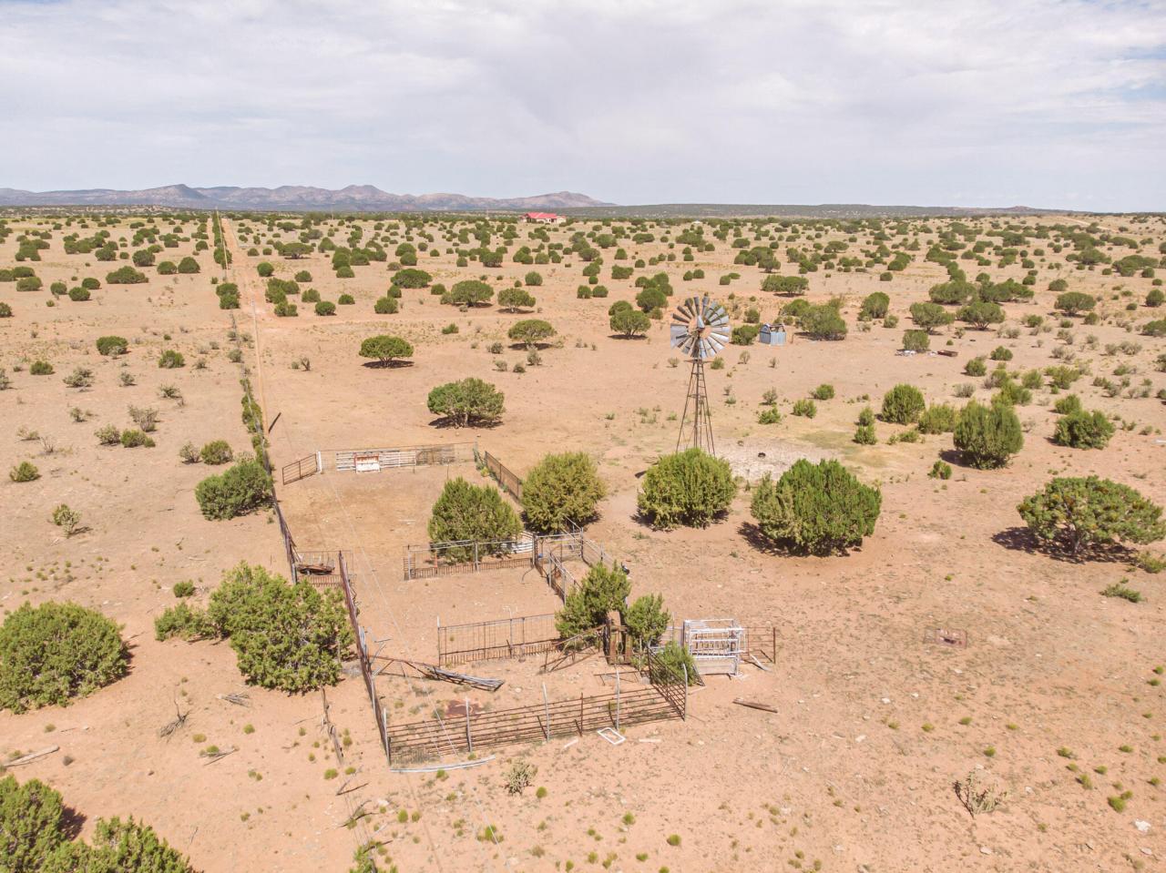 337 Scholle Road, Mountainair, New Mexico, 87036, United States, 3 Bedrooms Bedrooms, ,3 BathroomsBathrooms,Residential,For Sale,337 Scholle Road,1459491
