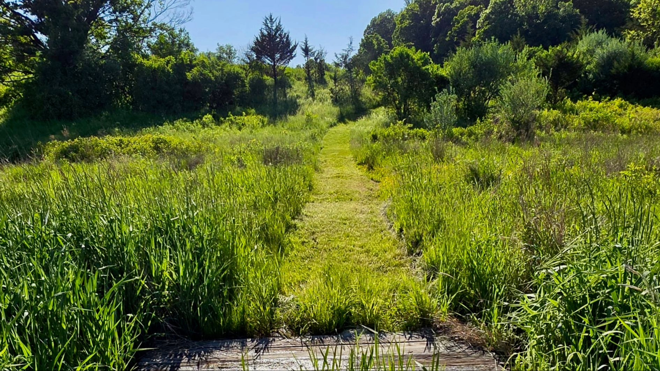  0 Rowe Road, Milan, NY 12571 - 物件實景
