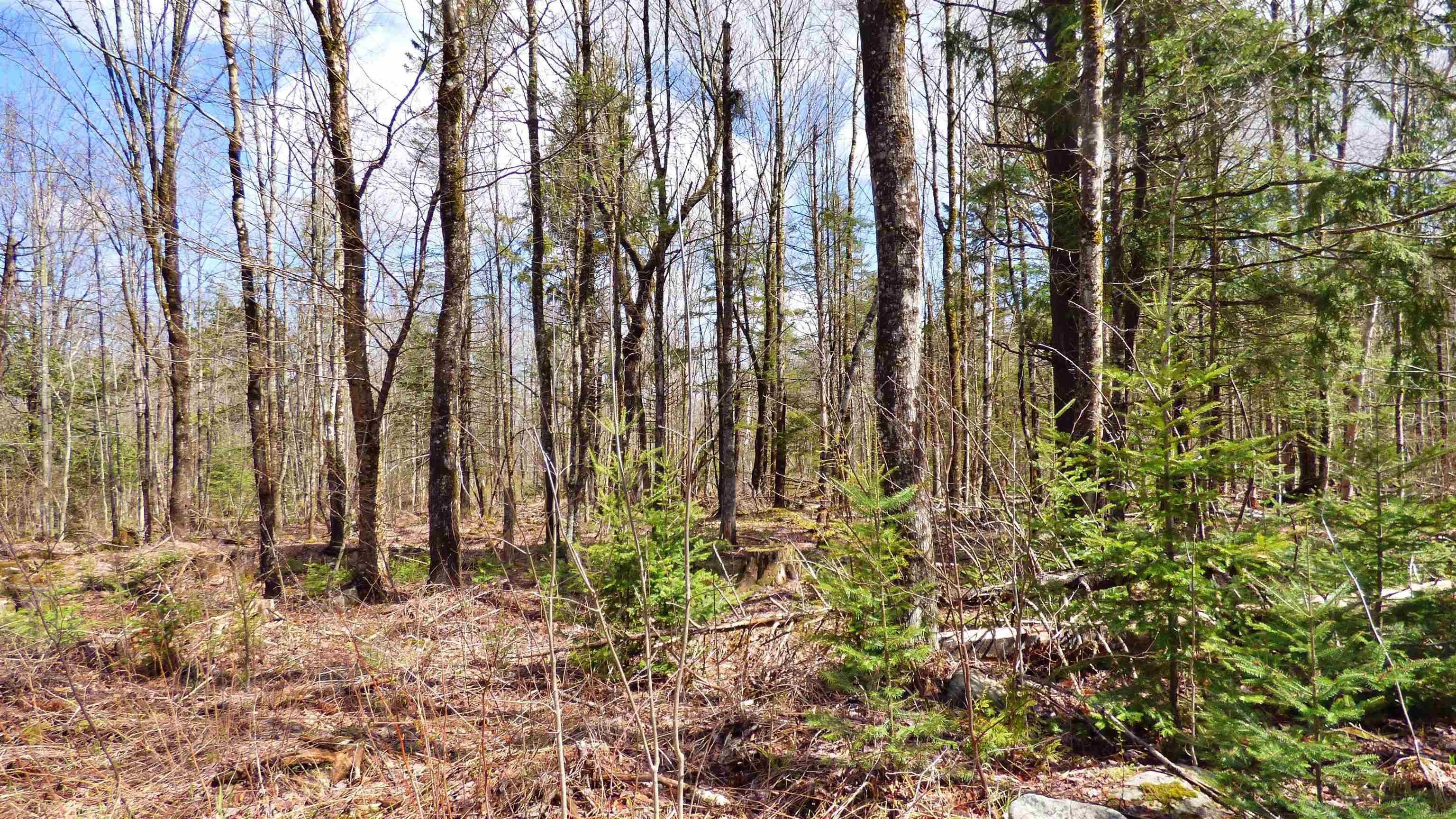 Wheelock, Vermont, 05851, United States, ,Land,For Sale,2017669