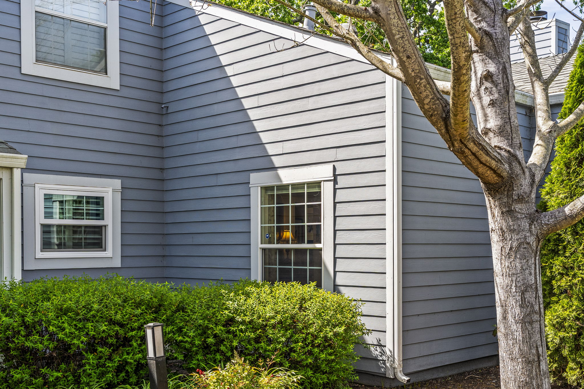  6600 Yount St. #21 Yountville - 物件實景
