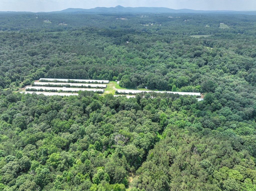 Talking Rock, Georgia, 30175, United States, 5 Bedrooms Bedrooms, ,4 BathroomsBathrooms,Residential,For Sale,1848832