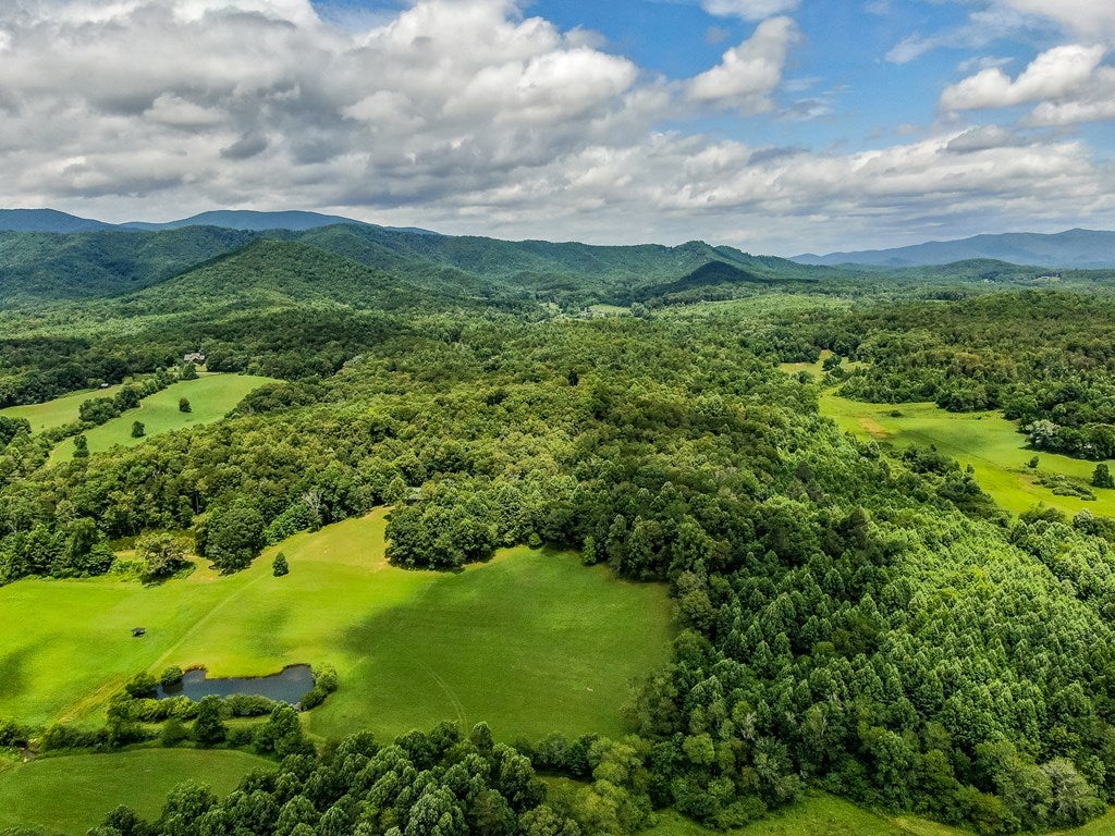 Blue Ridge, Georgia, 30513, United States, 4 Bedrooms Bedrooms, ,3 BathroomsBathrooms,Residential,For Sale,1762405