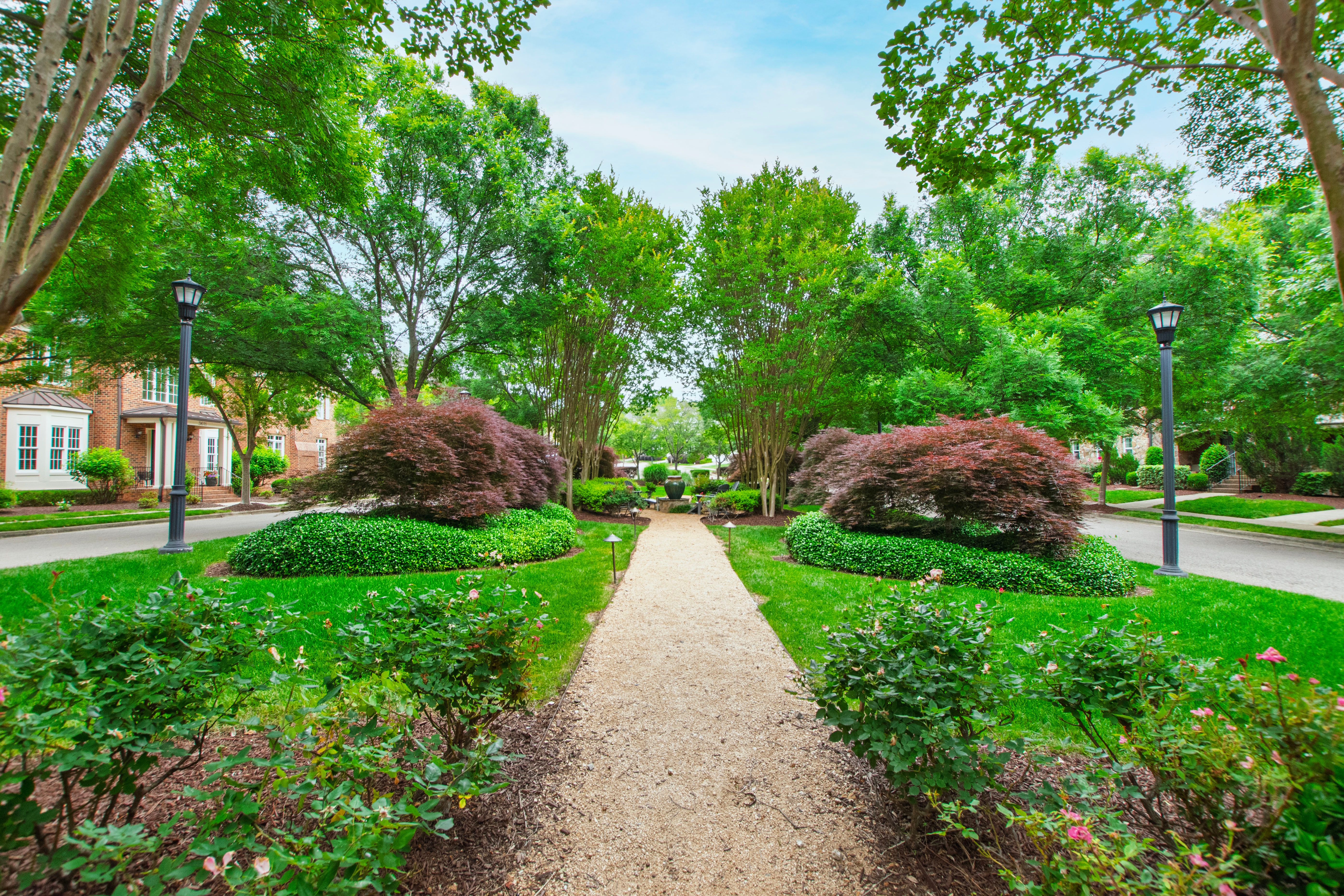  333 Allister Drive, Raleigh, NC 27609 - 物件實景