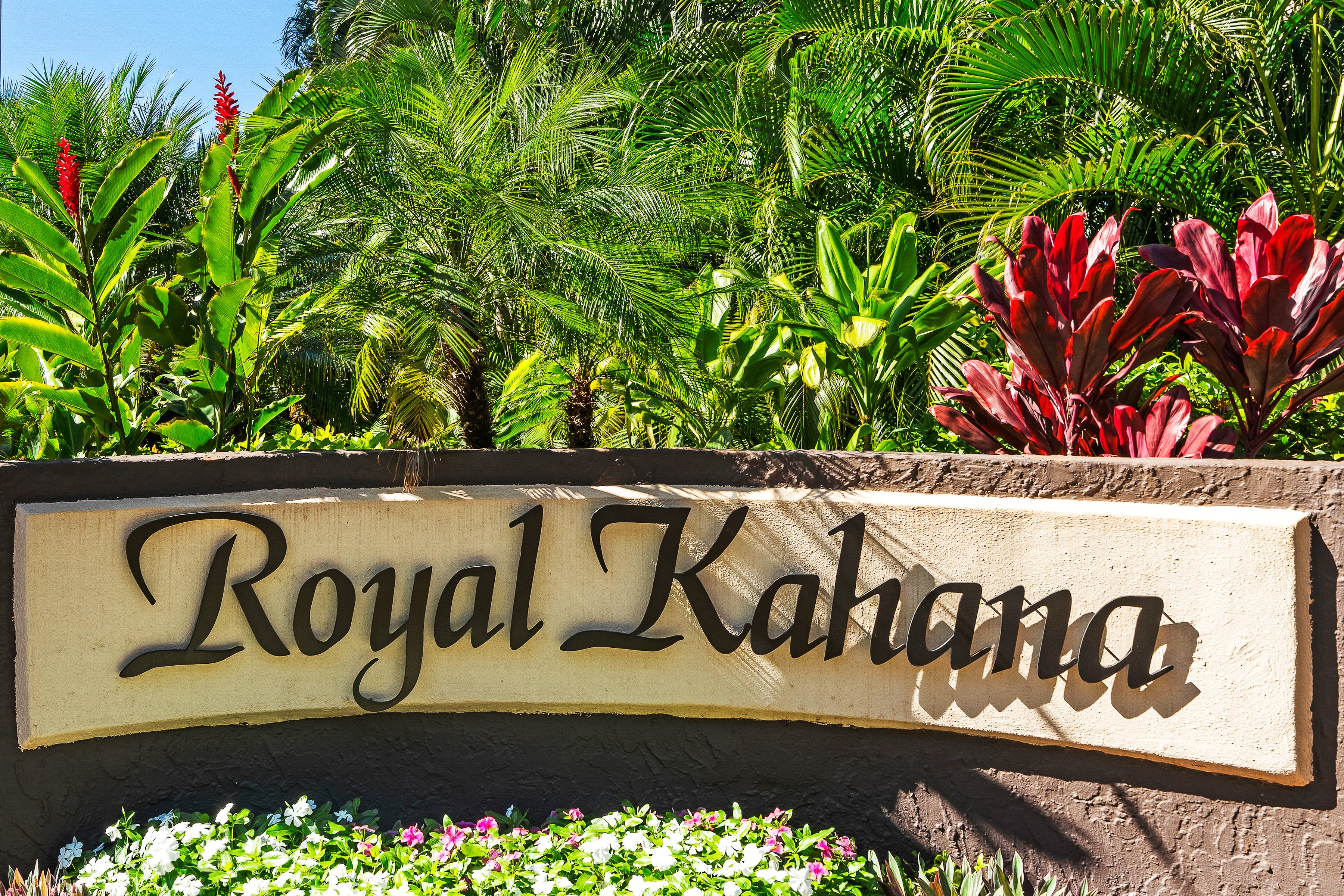  Royal Kahana Studio: STR Zoned, Priced to Sell - 物件實景