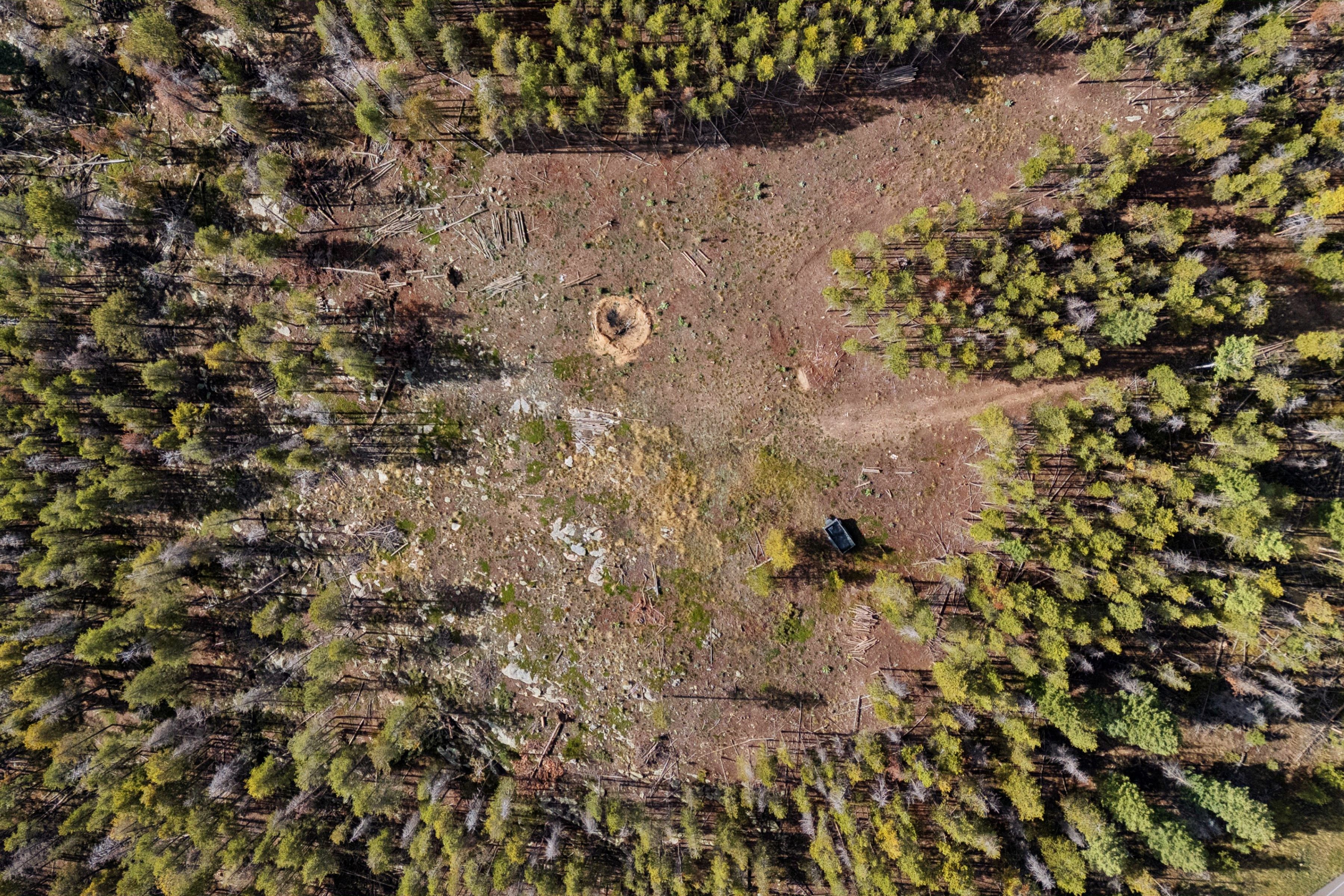  Opportunity to Build Your Foothills Dream Home with Over 7 Acres of Privacy - 物件實景