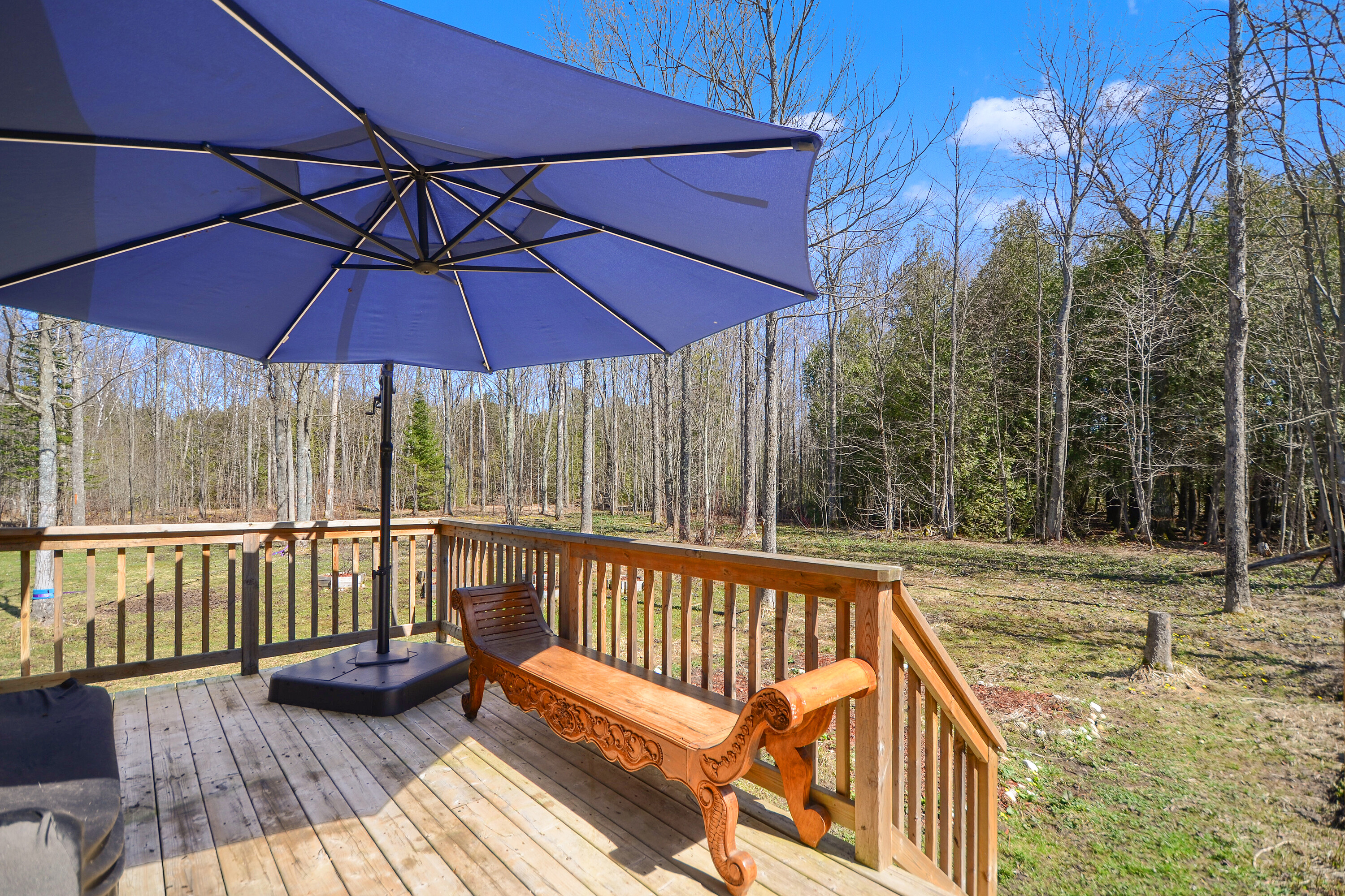  93 Pristine Acres of Privacy - 物件實景