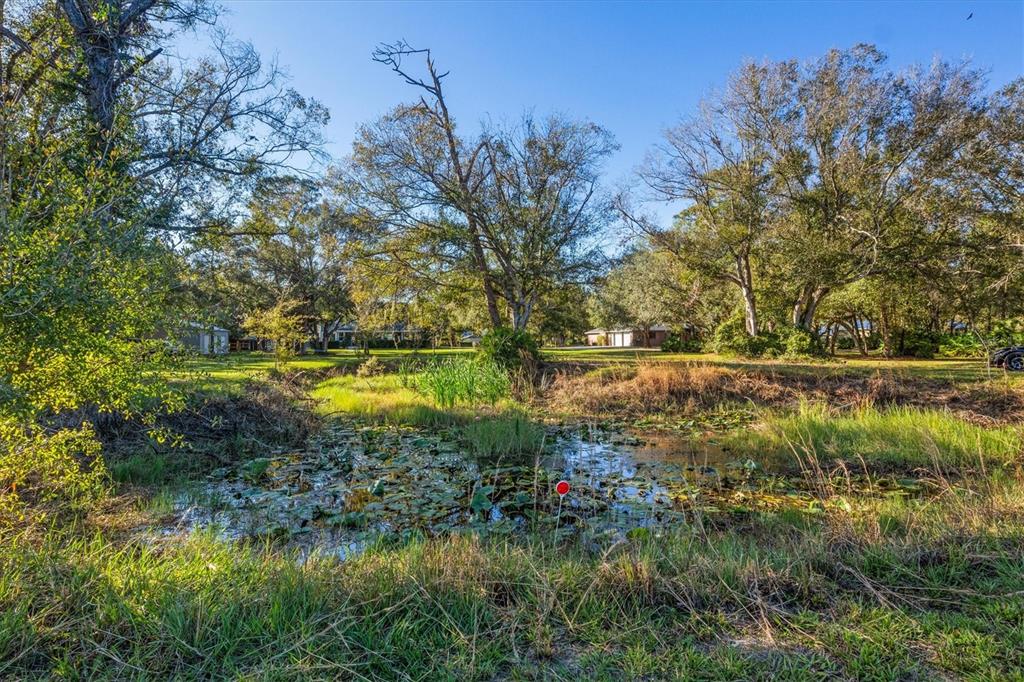 Arcadia, Florida, 34266, United States, 4 Bedrooms Bedrooms, ,3 BathroomsBathrooms,Residential,For Sale,1913151