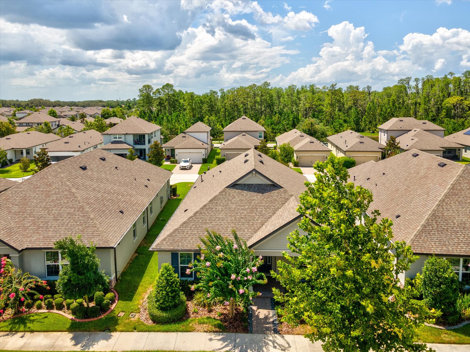 Odessa, Florida, 33556, United States, 3 Bedrooms Bedrooms, ,3 BathroomsBathrooms,Residential,For Sale,1868336