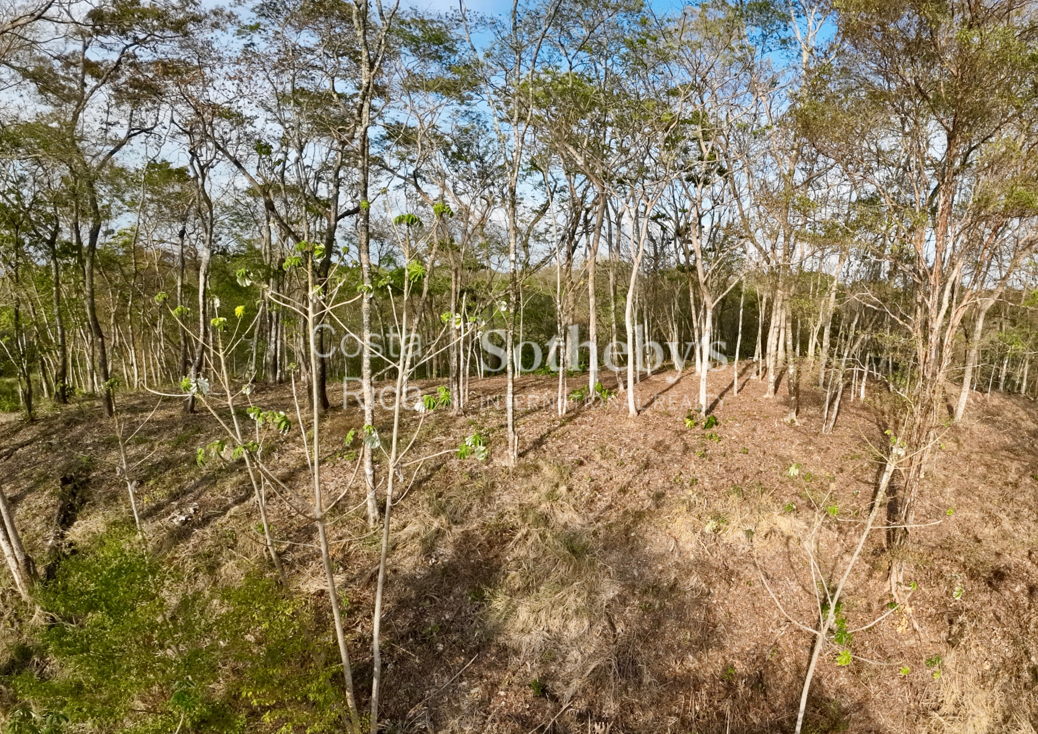  Idyllic Ocean View Lot in the Hills of Hermosa - 物件實景