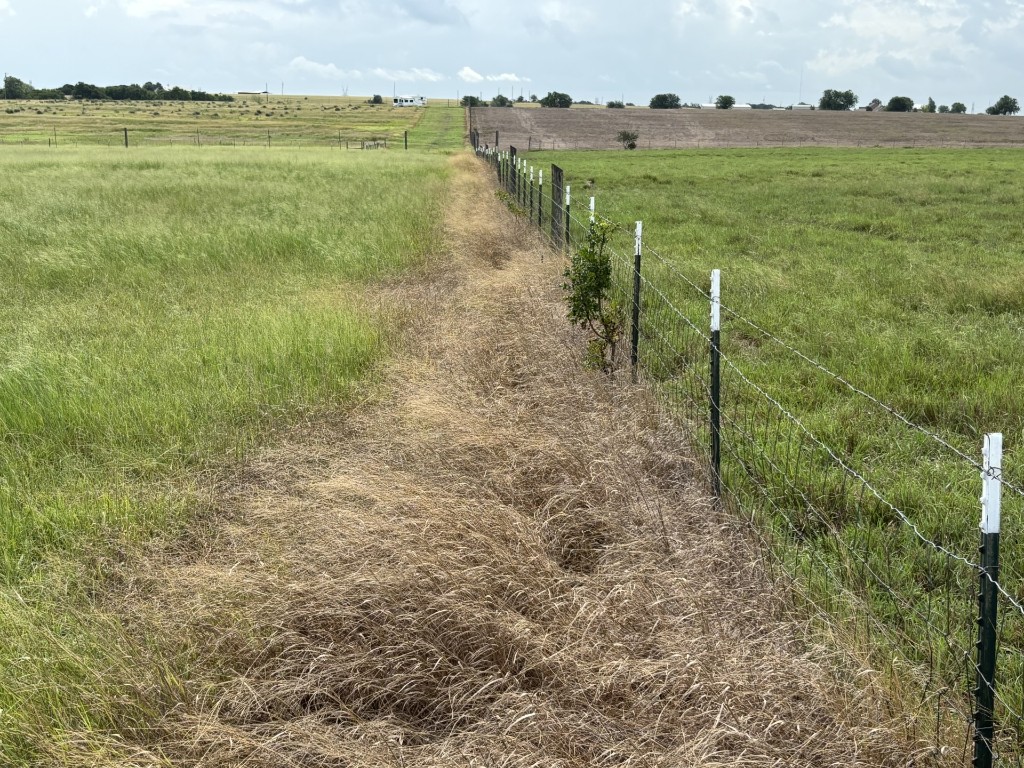 Granger, Texas, 76530, United States, ,Land,For Sale,1903654
