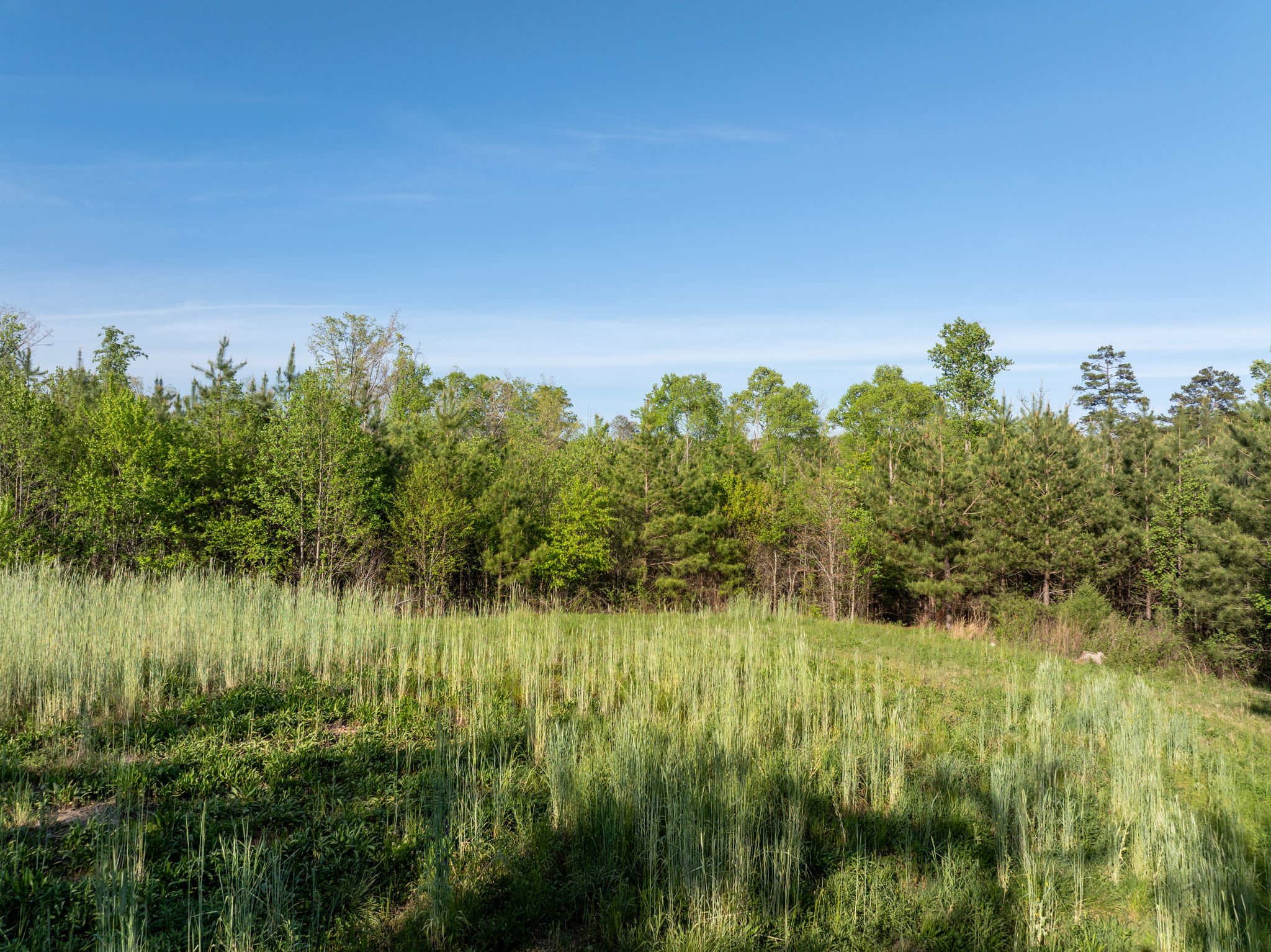  Lyle Farm - 物件實景
