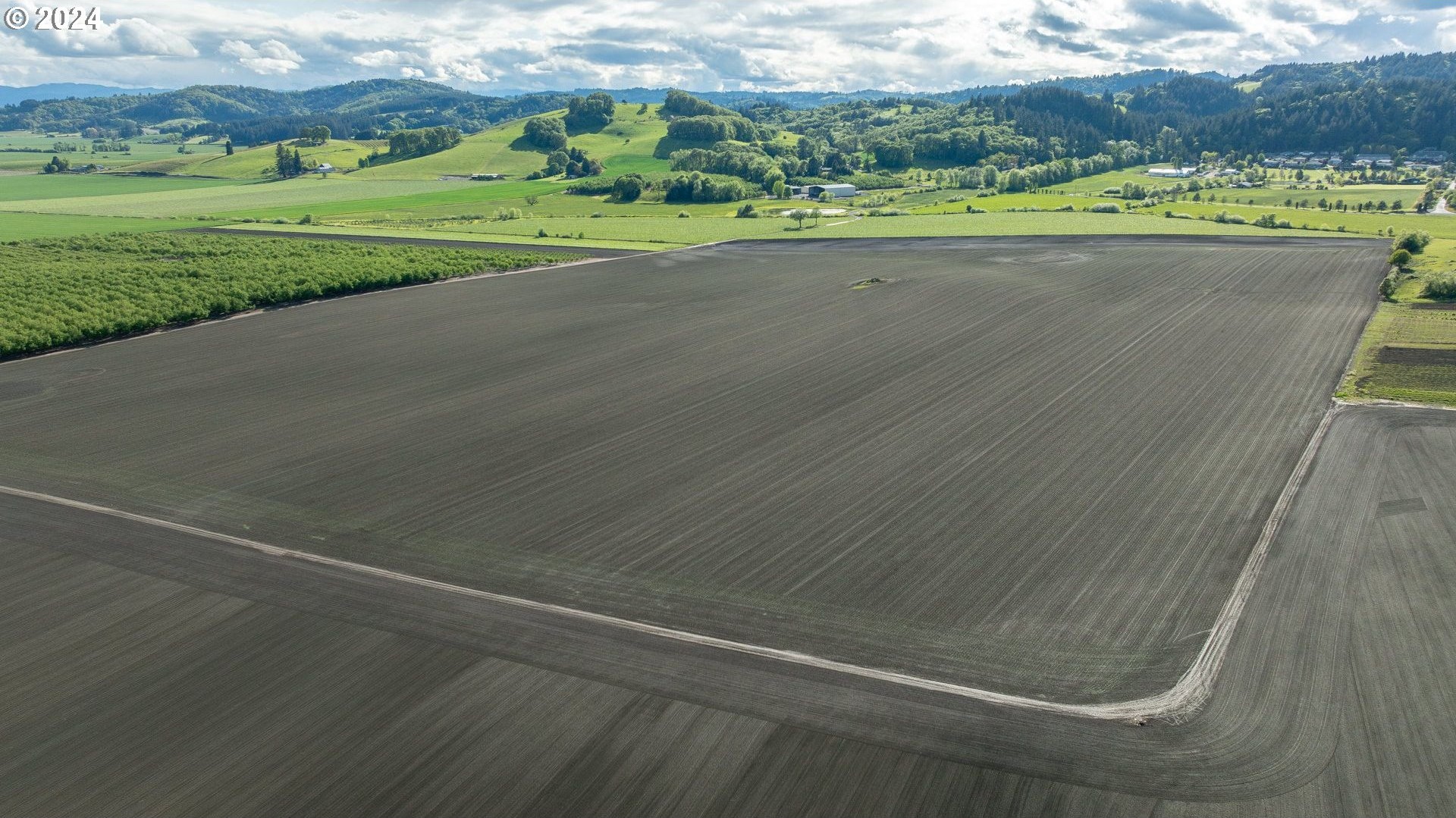 0 SW YOUNGBERG HILL RD, McMinnville, Oregon, 97128, United States, ,Land,For Sale,0 SW YOUNGBERG HILL RD,1523694