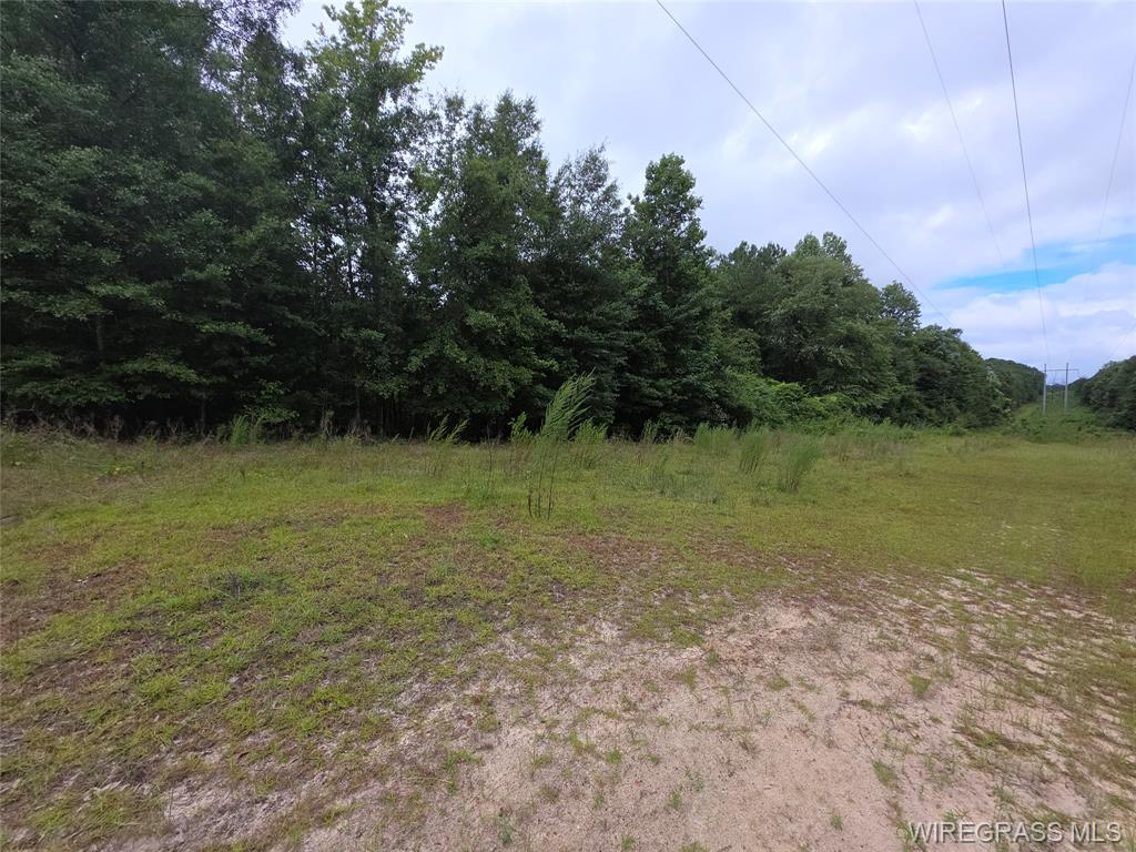Daleville, Alabama, 36322, United States, ,Land,For Sale,1980243