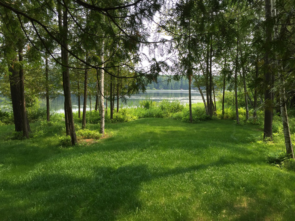 Branch, Michigan, 49402, United States, 1 Bedroom Bedrooms, ,1 BathroomBathrooms,Residential,For Sale,2001233