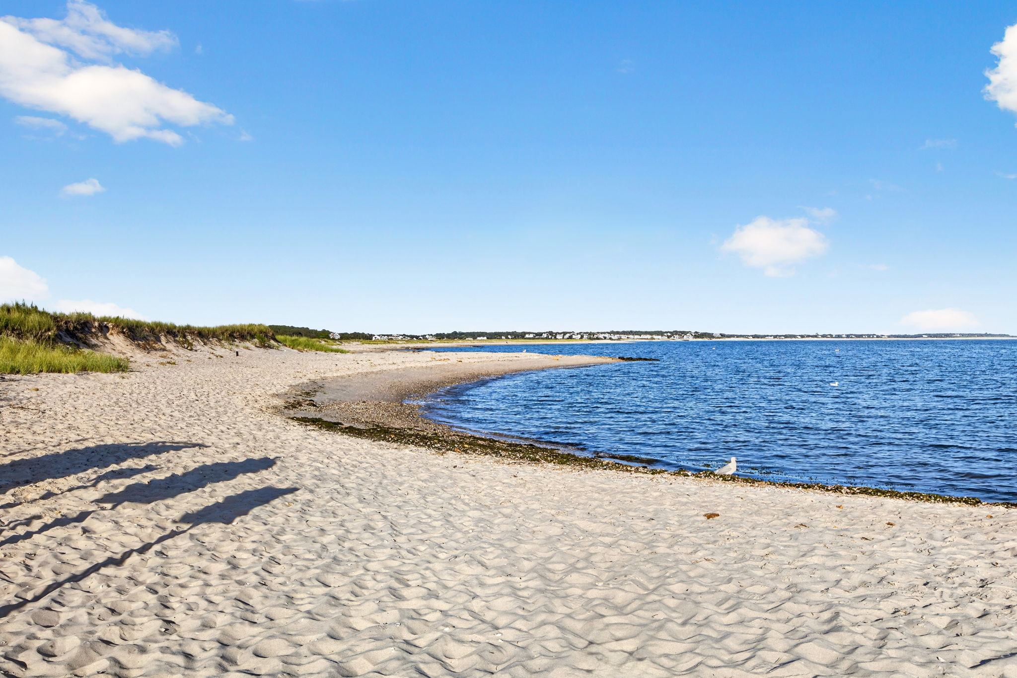  20 Circle Drive, South Chatham, MA, 02659 - 物件實景