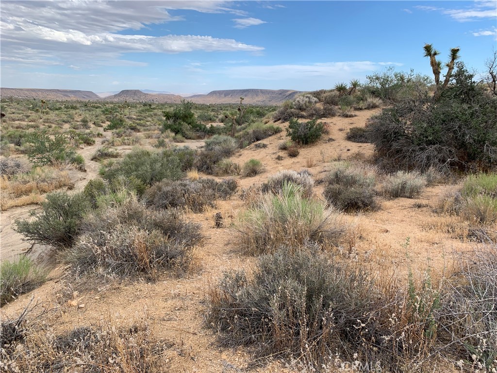 200 Gods Way Love Road W, Pioneertown, California, 92268, United States, ,Land,For Sale,200 Gods Way Love Road W,1435338