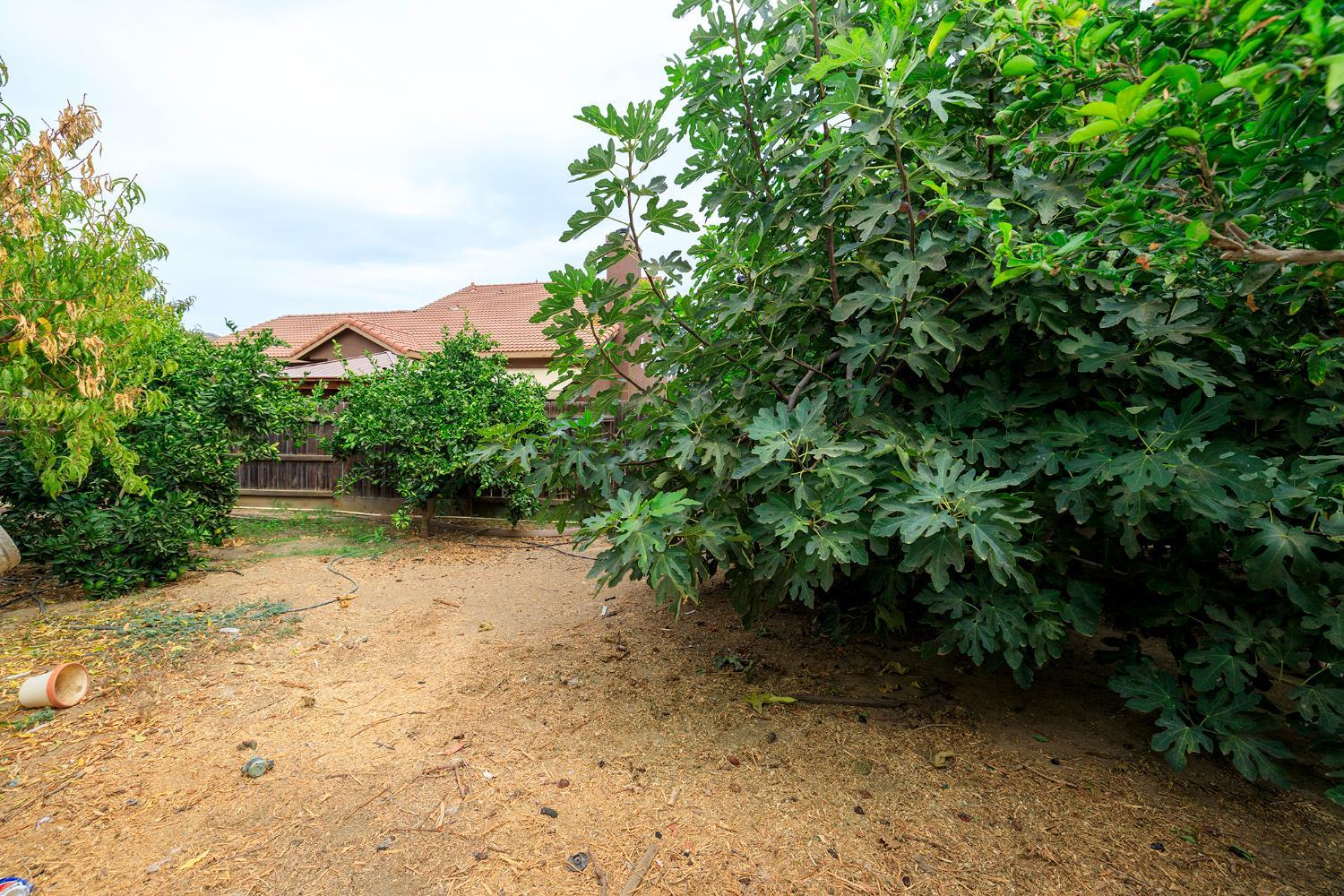 Gustine, California, 95322, United States, 4 Bedrooms Bedrooms, ,3 BathroomsBathrooms,Residential,For Sale,1975673