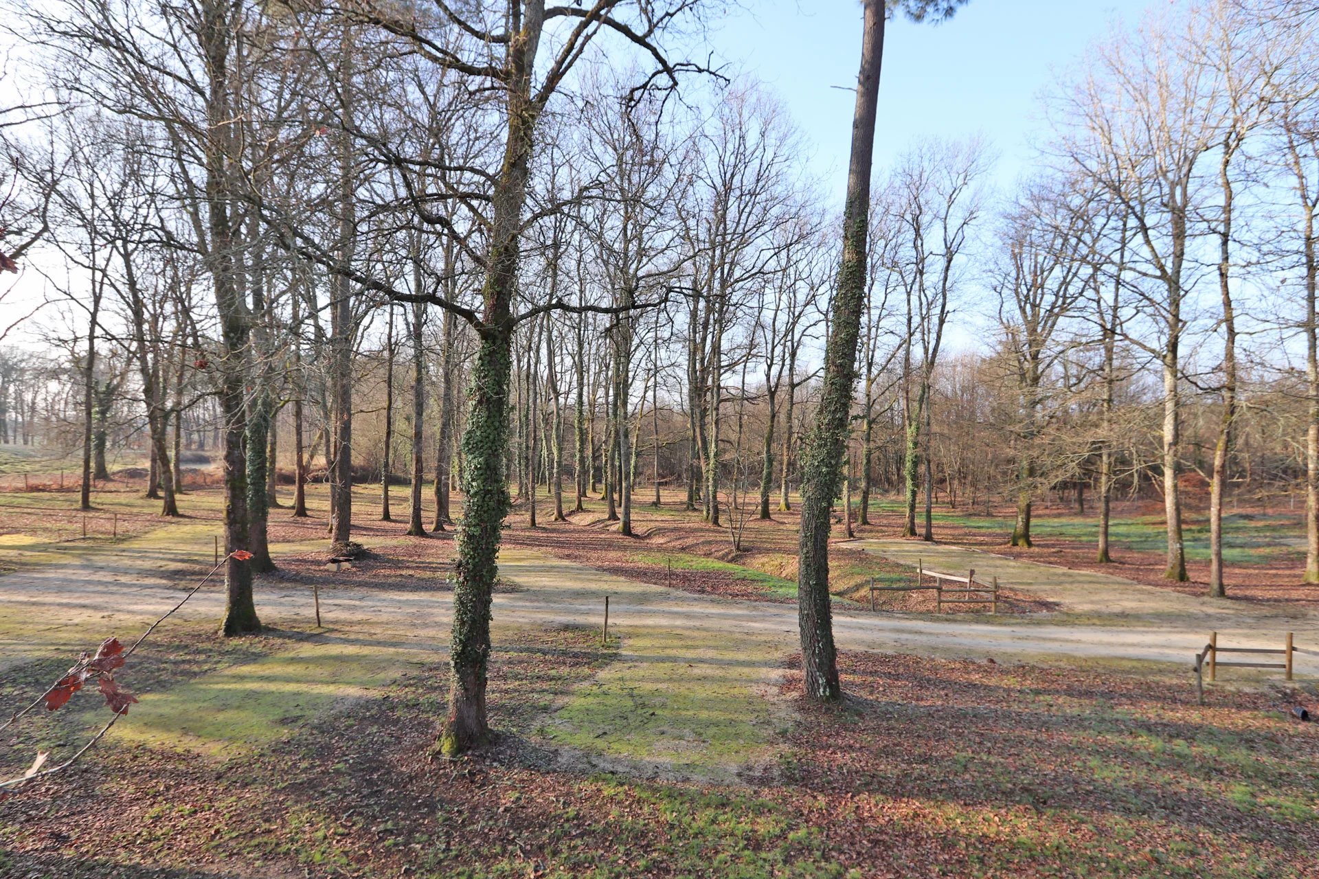 Bergerac, New Aquitaine, 24100, FR, 4 Bedrooms Bedrooms, ,3 BathroomsBathrooms,Residential,For Sale,1995573