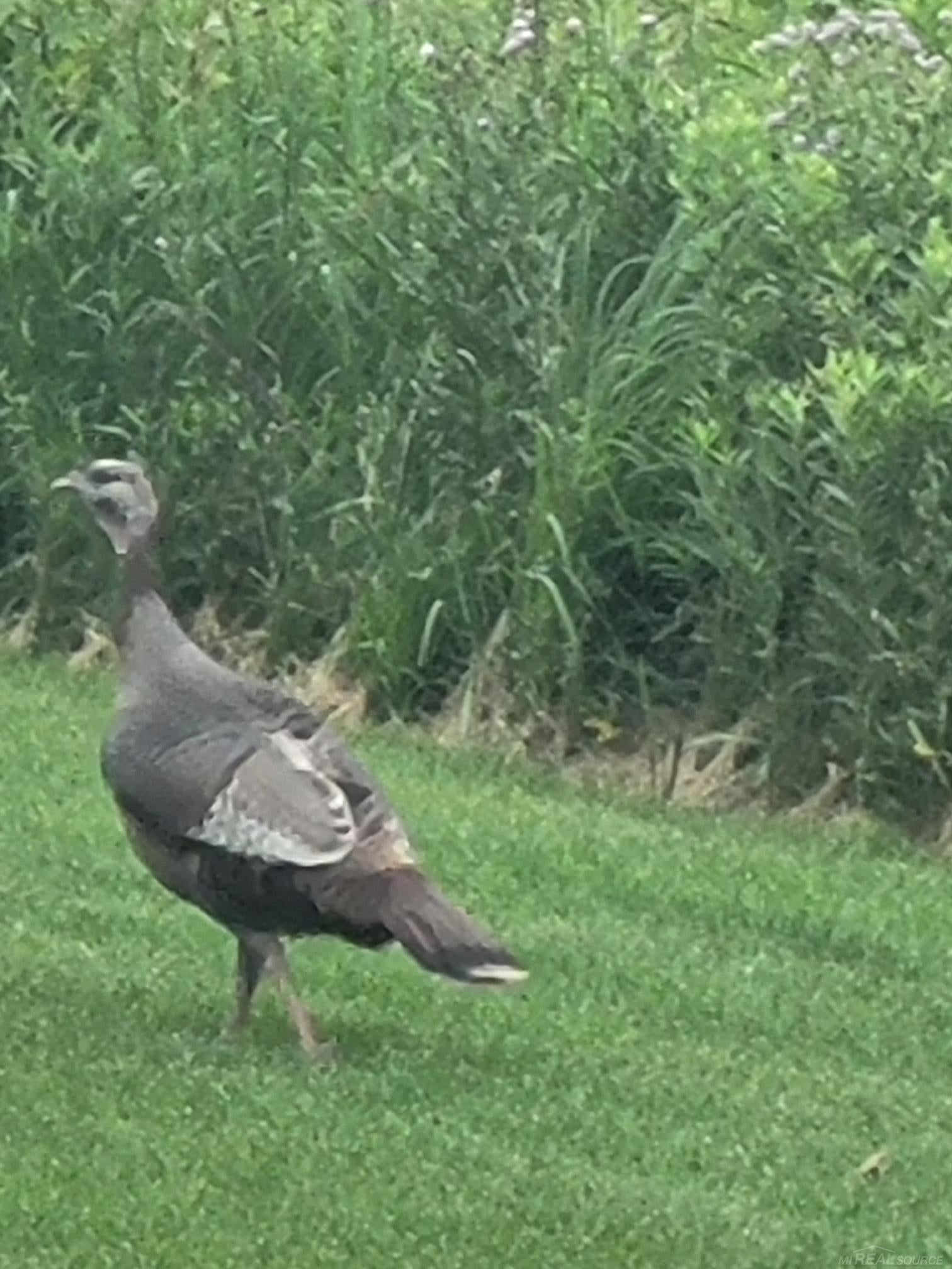 Macomb, Michigan, 48042, United States, 3 Bedrooms Bedrooms, ,3 BathroomsBathrooms,Residential,For Sale,2002873