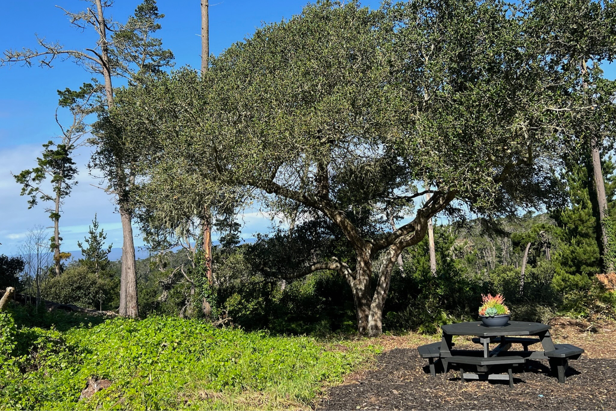  24312 San Juan Road - 物件實景