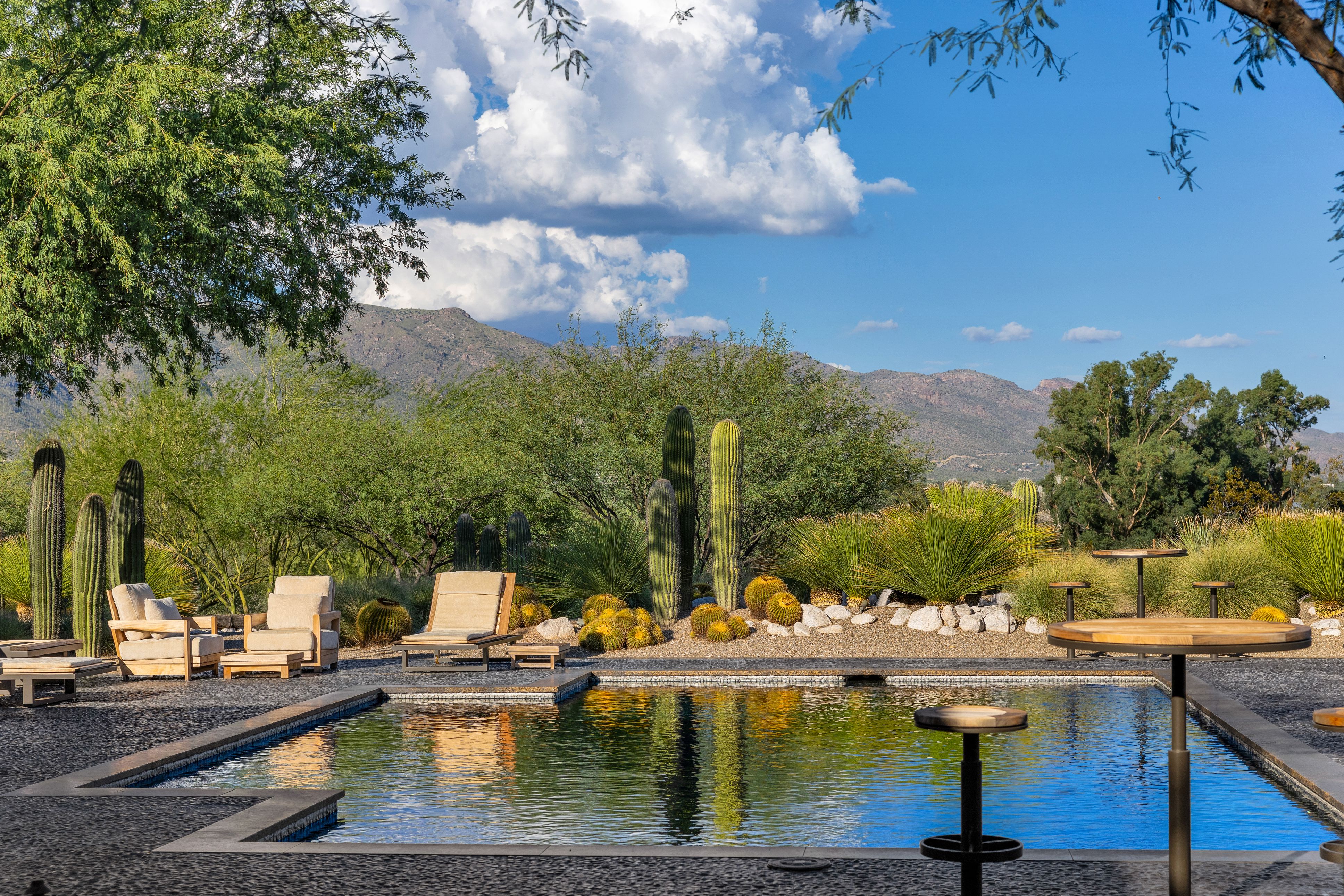  3978 N Canyon Ranch Drive¦Tucson, AZ - 物件實景