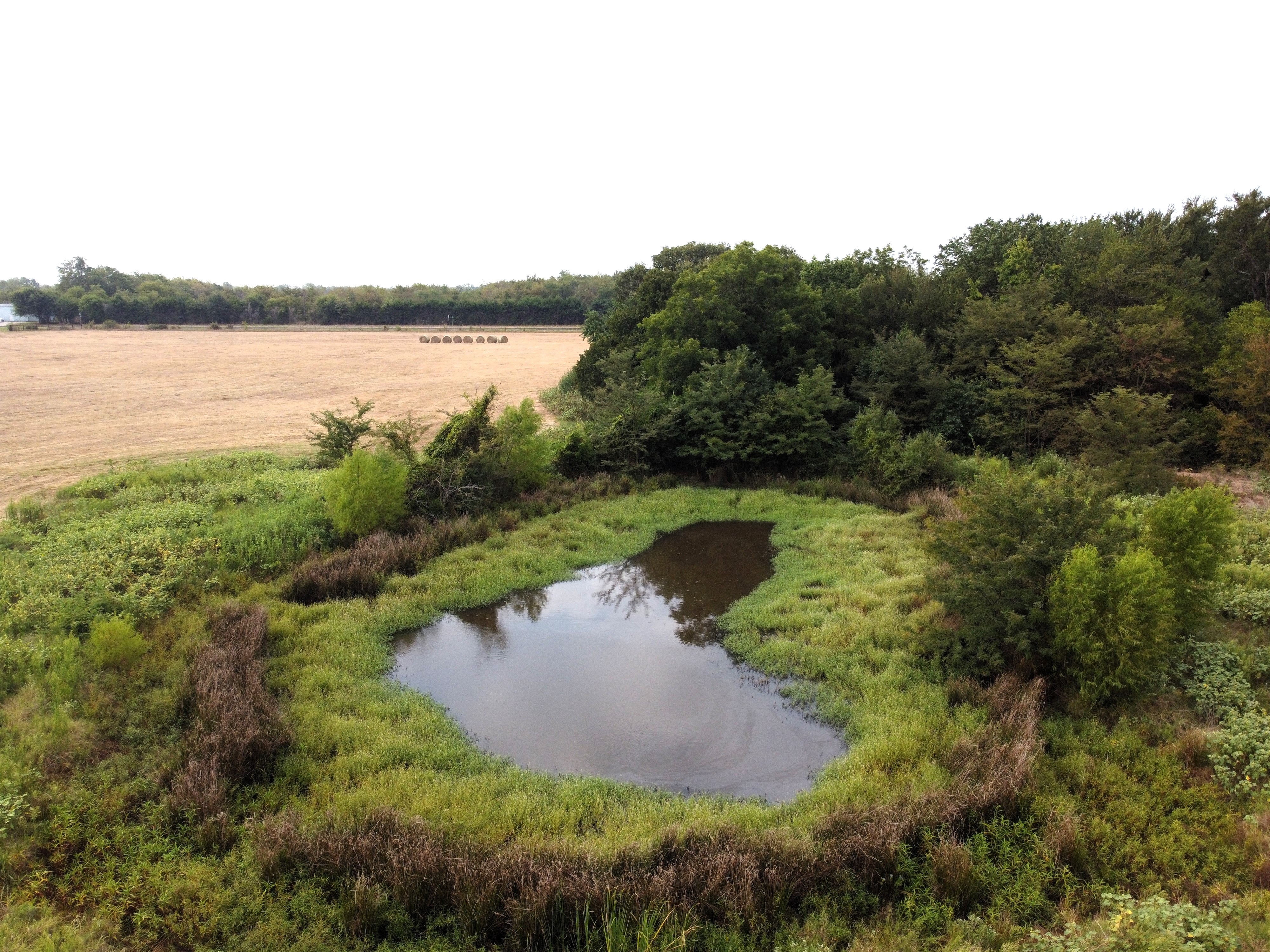 Cumby, Texas, 75433, United States, ,Land,For Sale,1987346