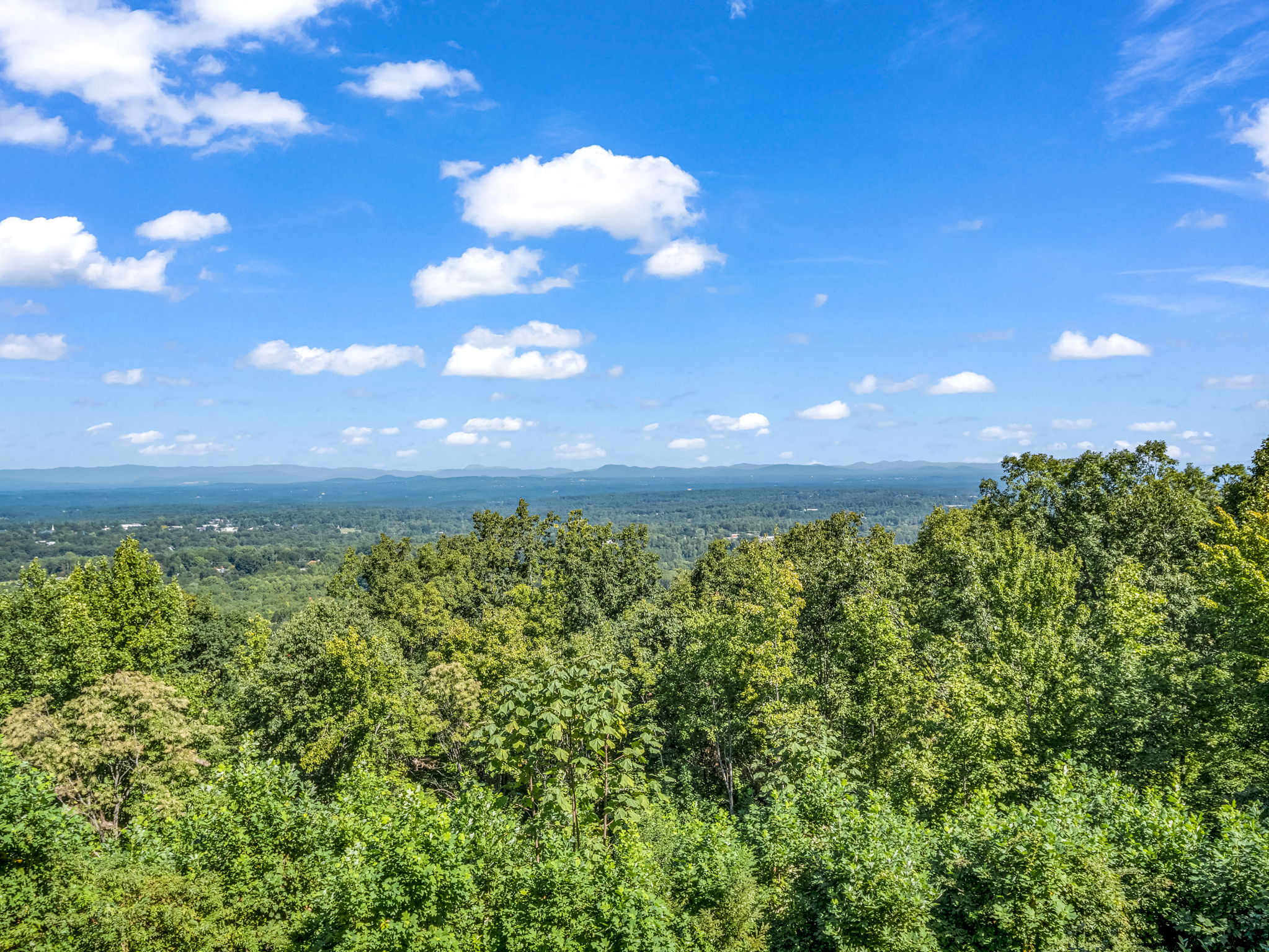  5409 Mineral Springs Mountain Avenue - 物件實景