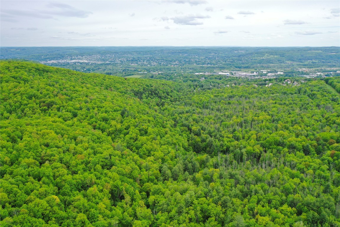 Vestal, New York, 13850, United States, ,Residential,For Sale,1935631